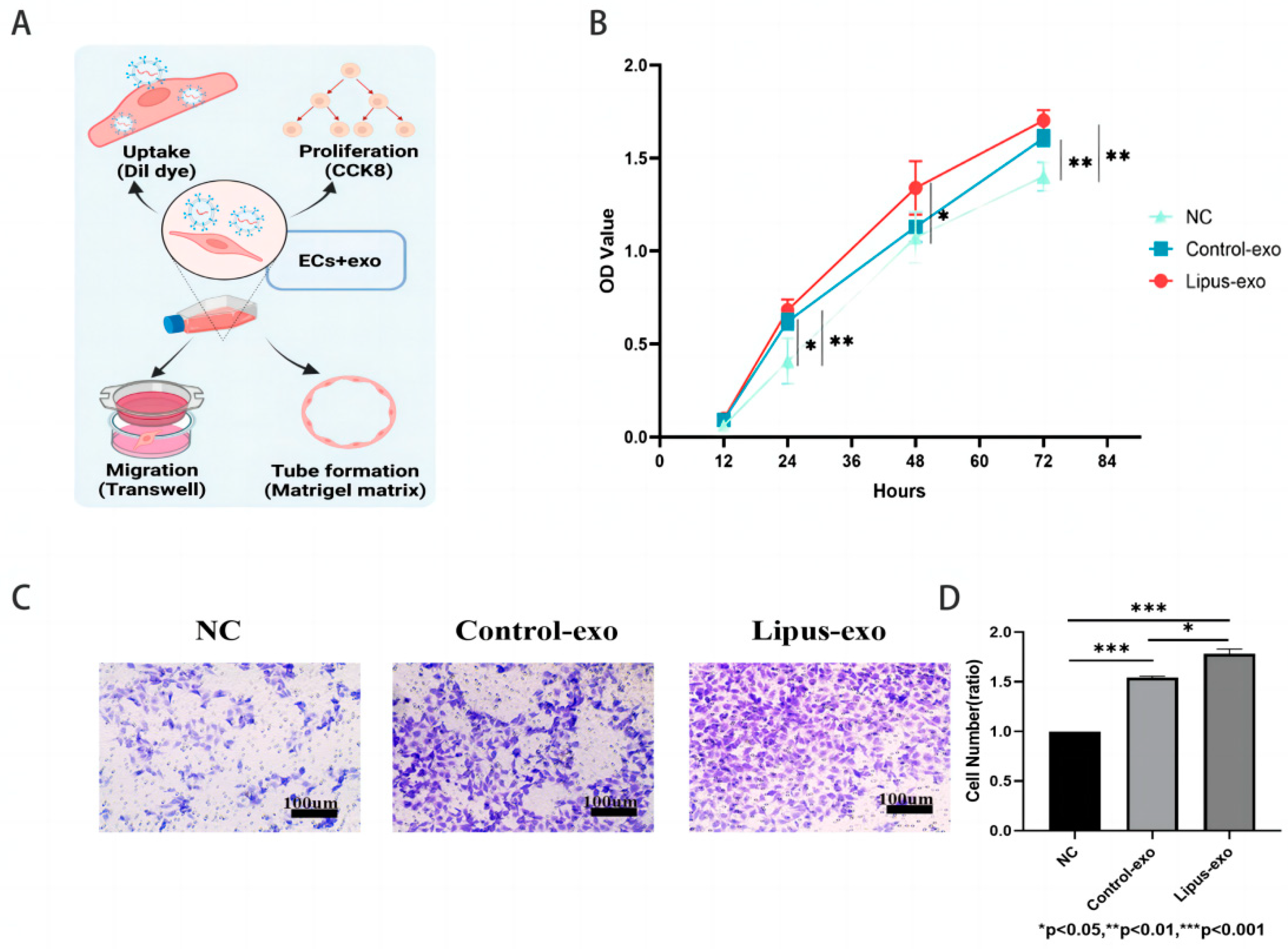 Biomolecules 14 01154 g003