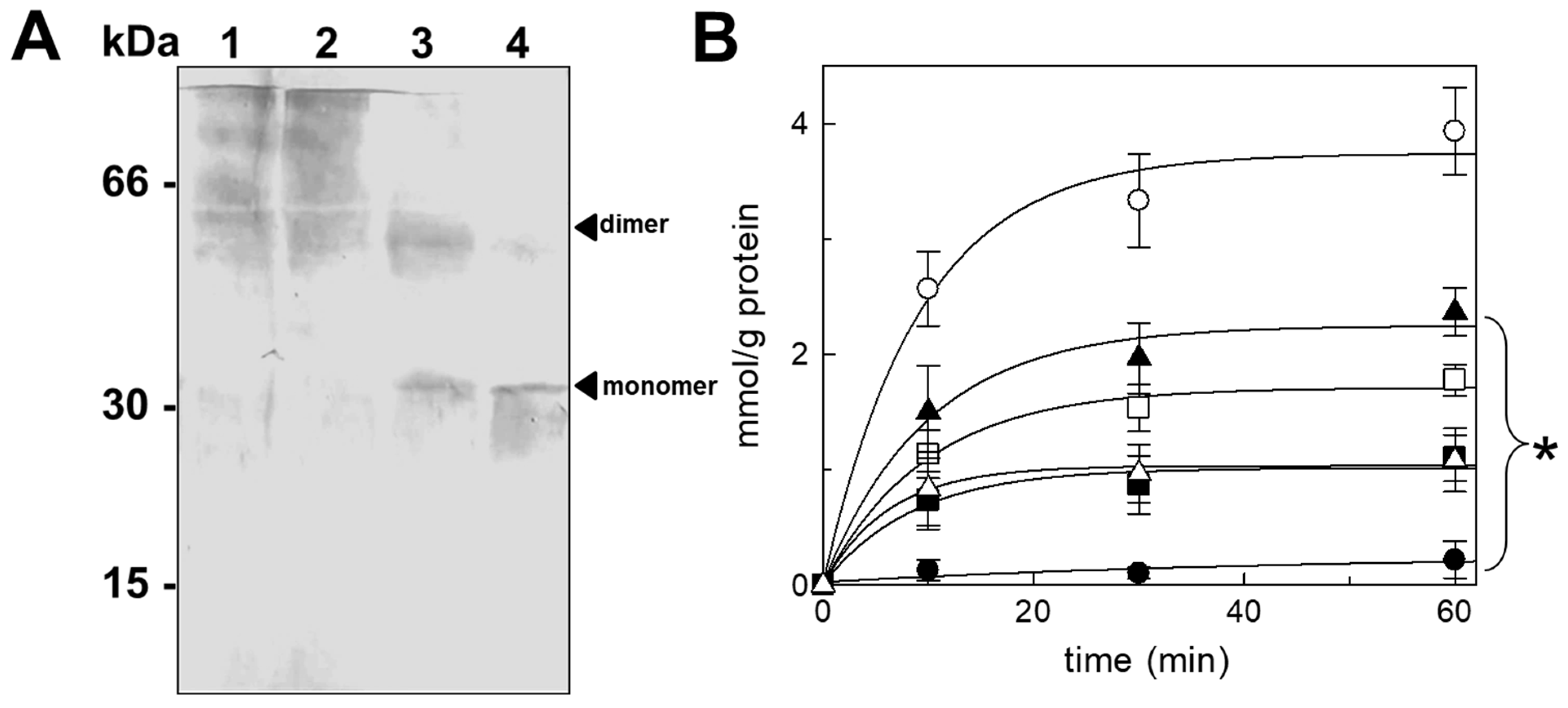 Biomolecules 14 01158 g004 Biomolecules 14 01158 g004