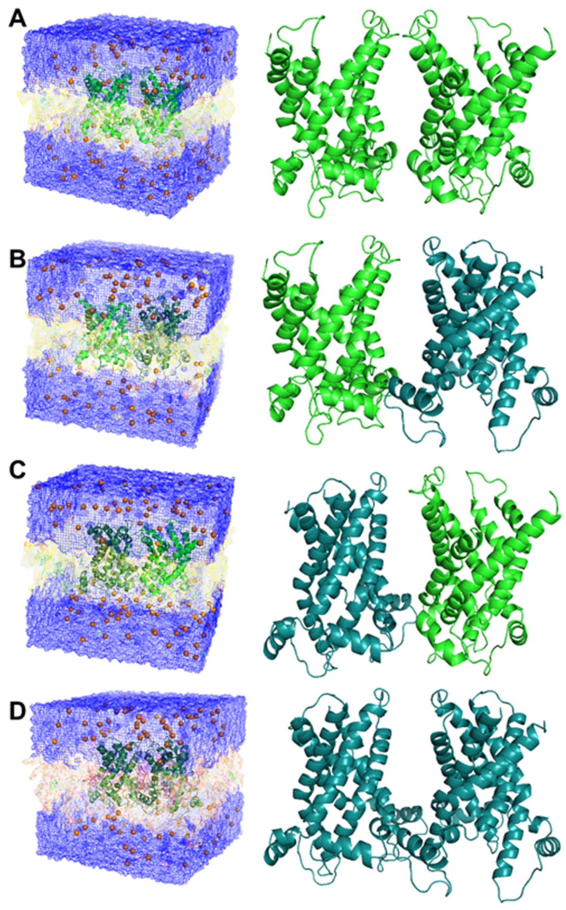 Biomolecules 14 01158 g005 Biomolecules 14 01158 g005