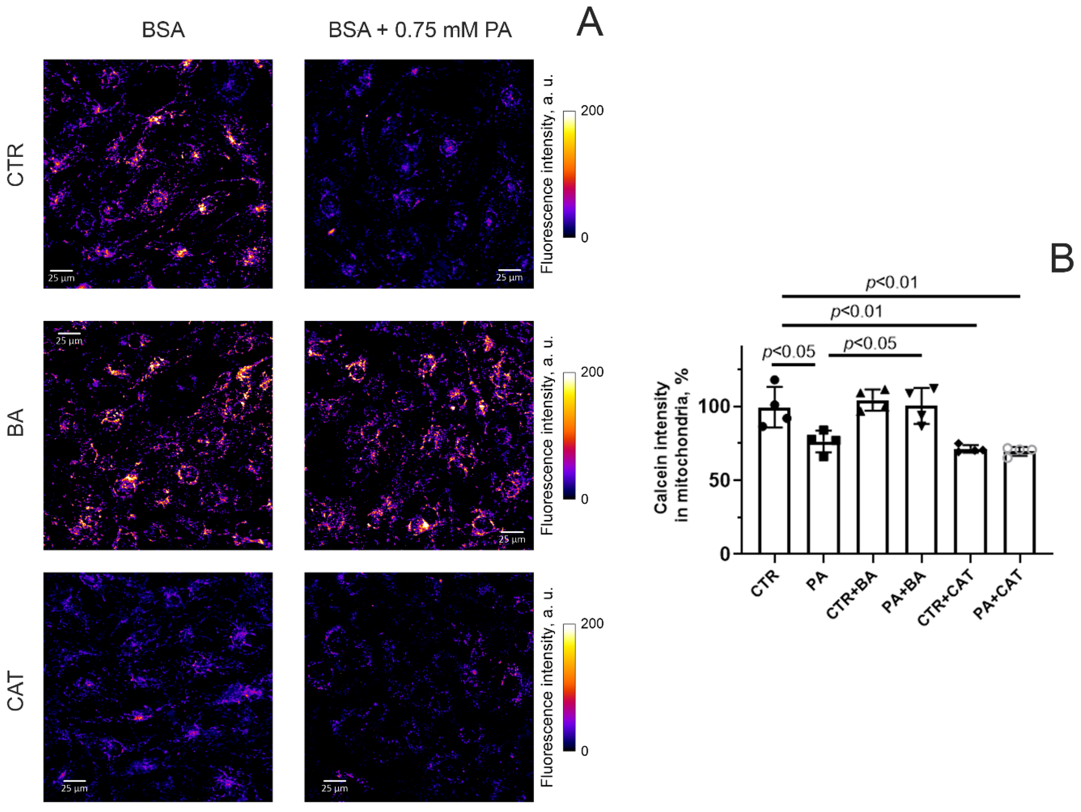 Biomolecules 14 01159 g004