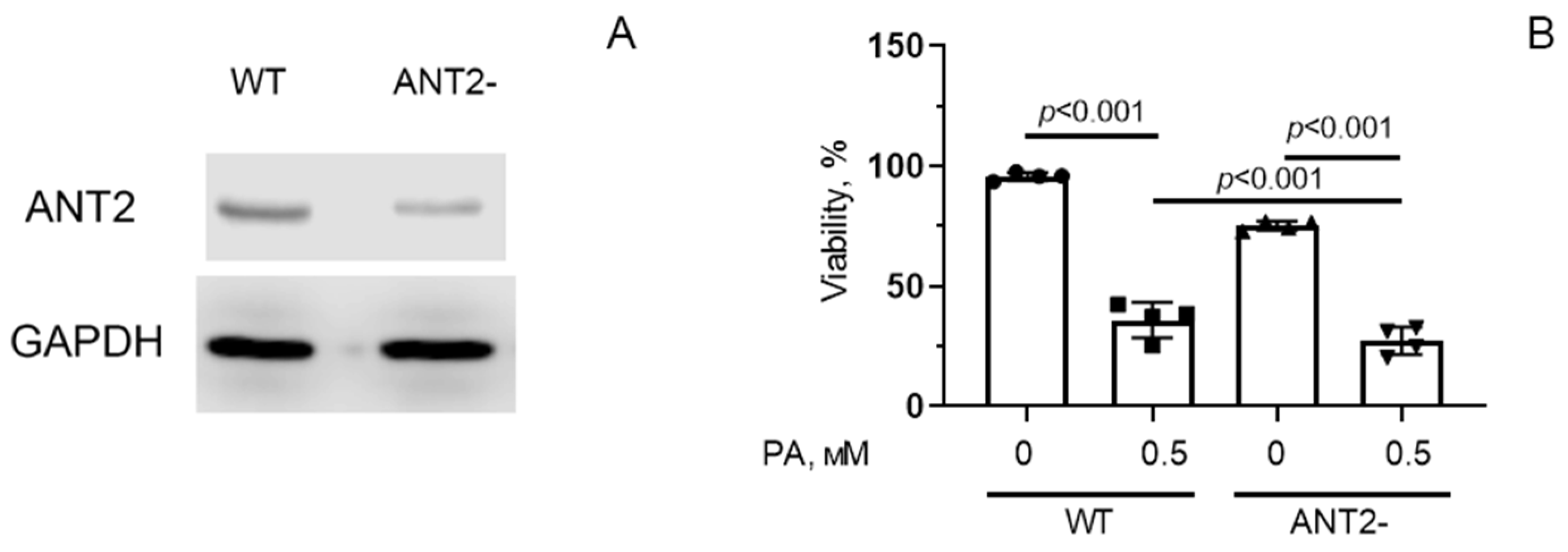 Biomolecules 14 01159 g006