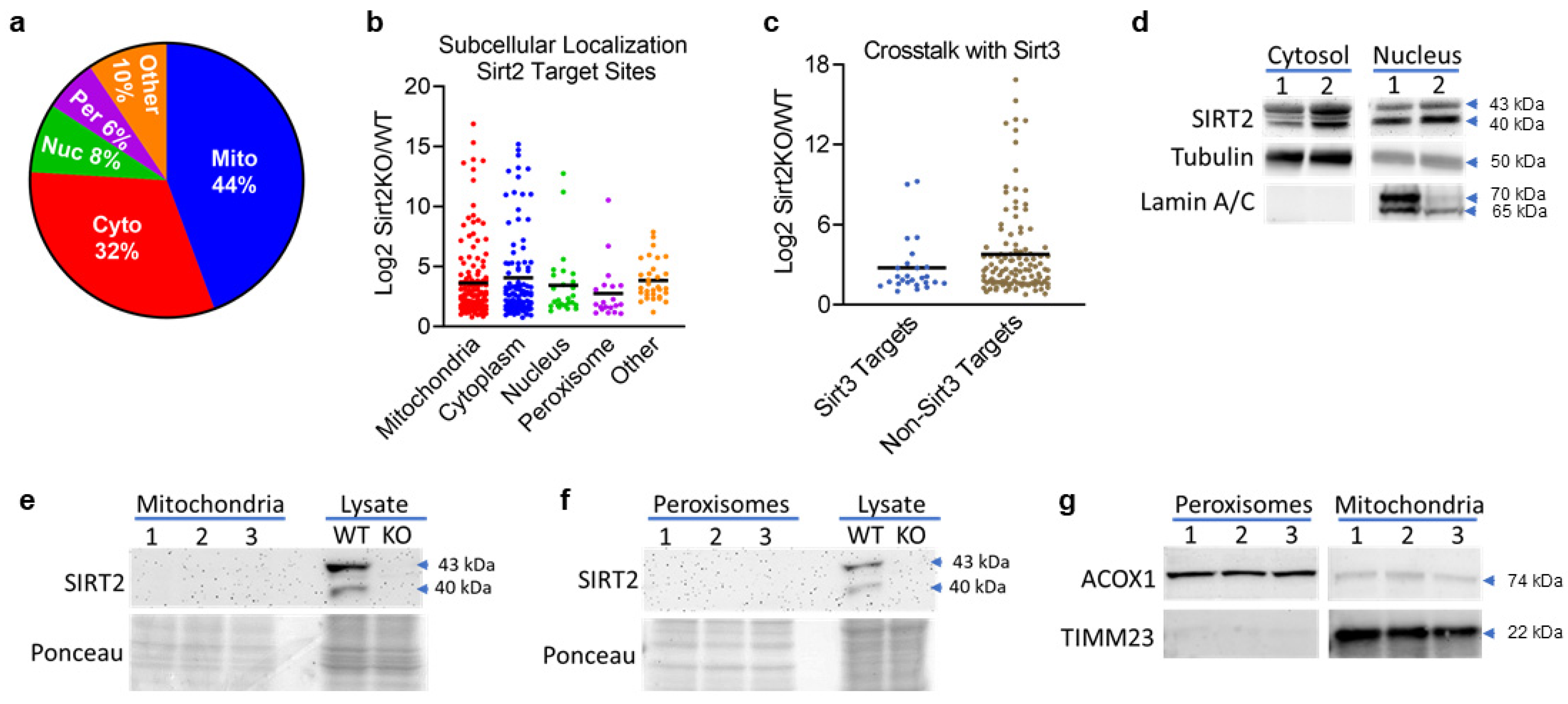 Biomolecules 14 01160 g002