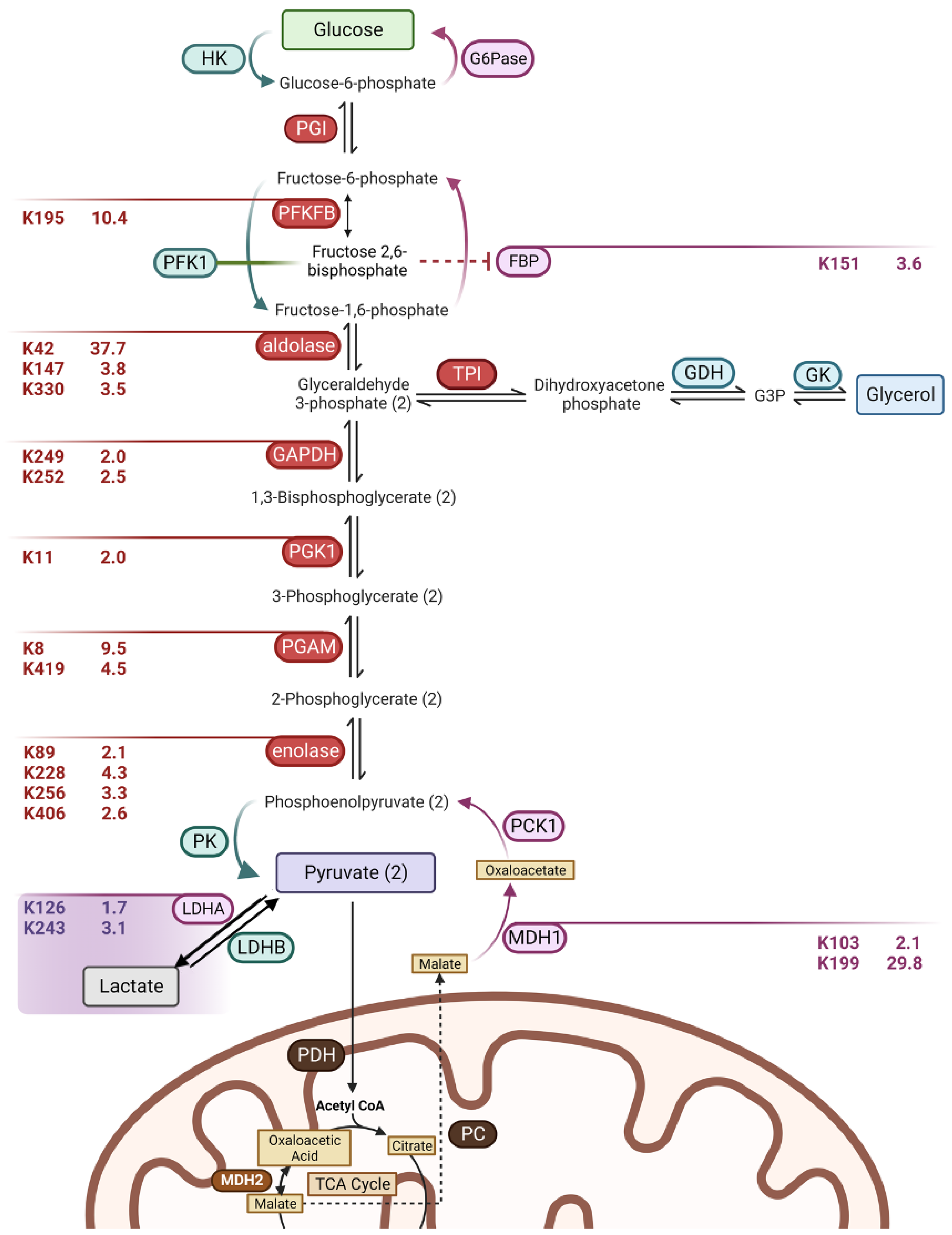 Biomolecules 14 01160 g006