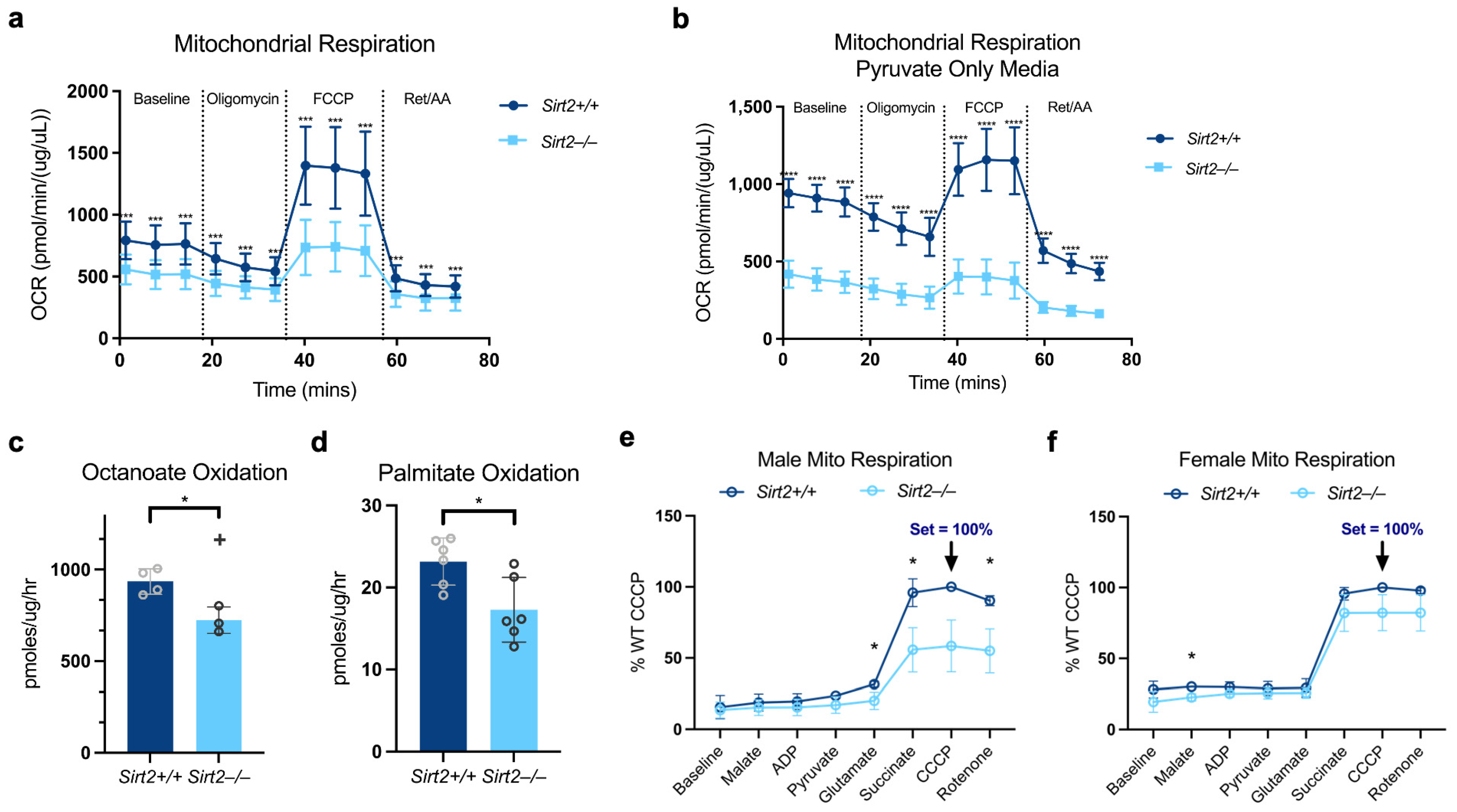 Biomolecules 14 01160 g007