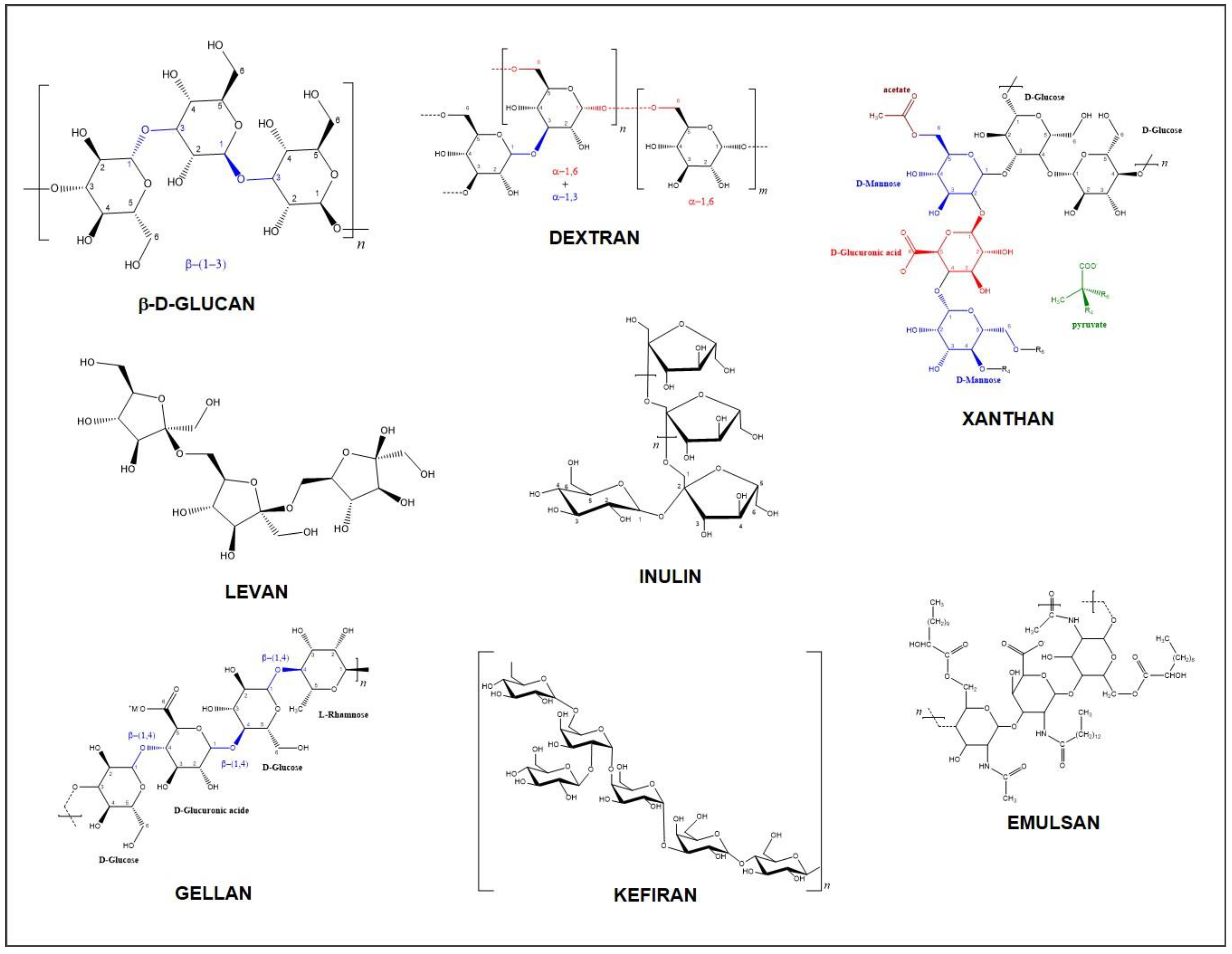 Biomolecules 14 01162 g001
