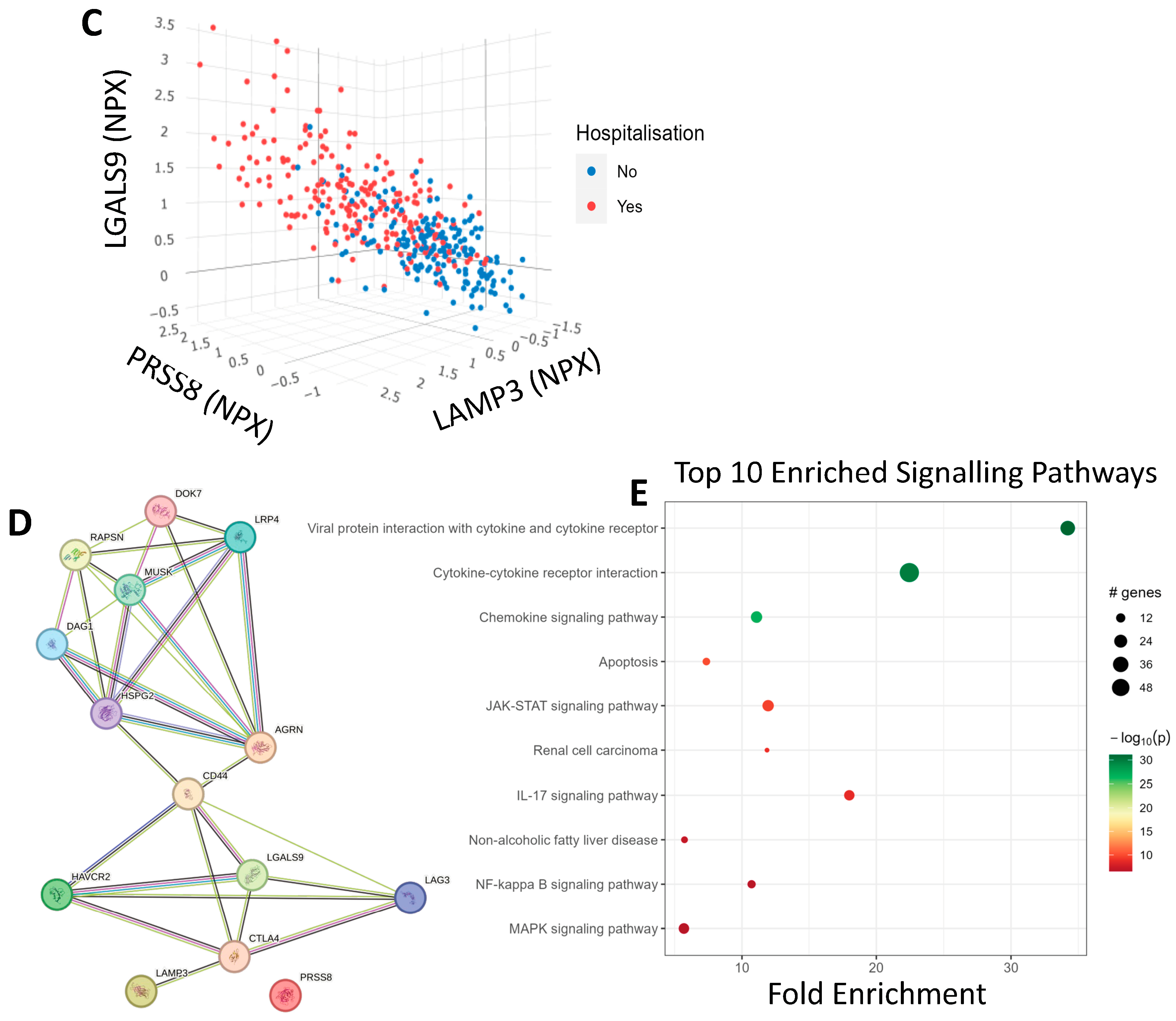 Biomolecules 14 01163 g002b