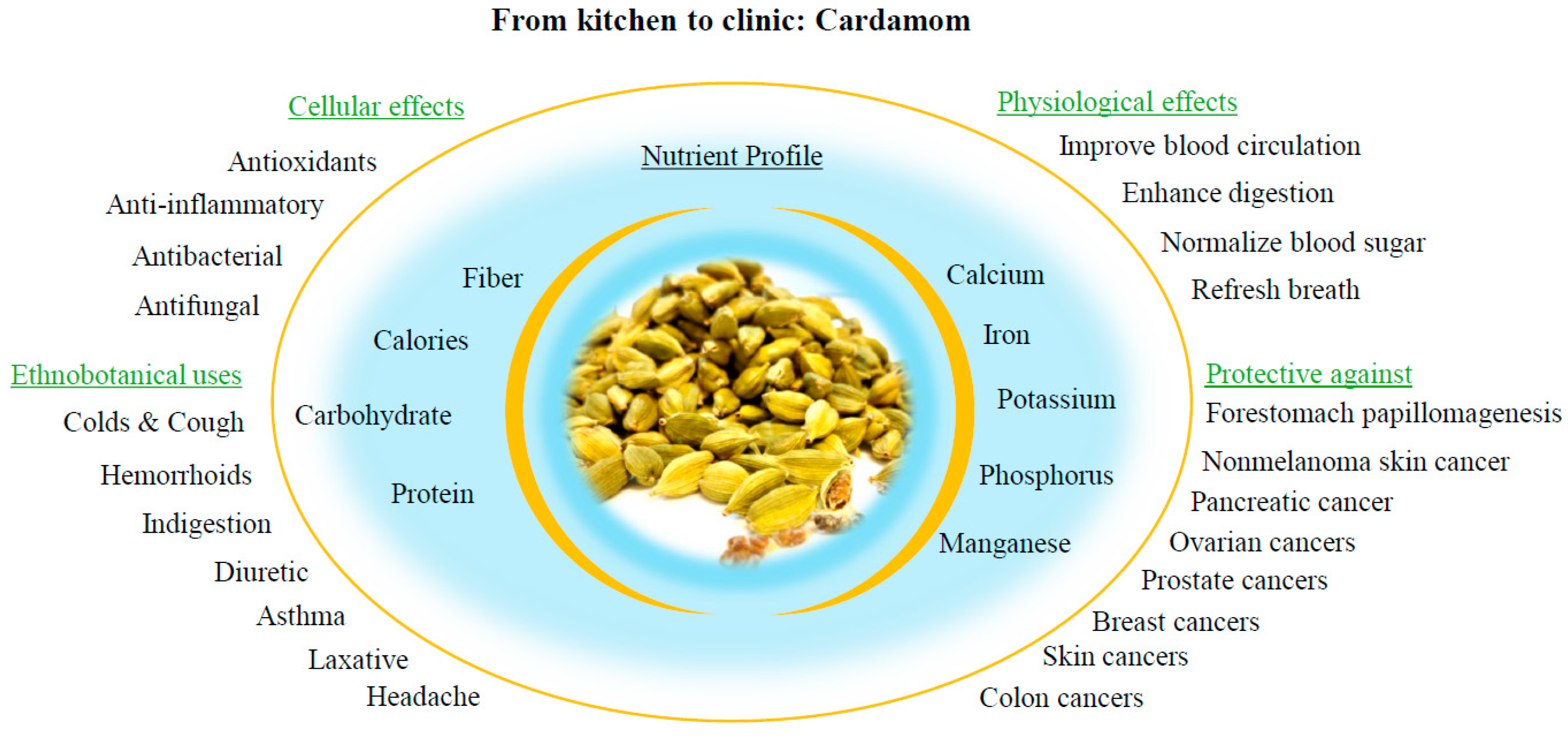 Biomolecules 14 01166 g001 Biomolecules 14 01166 g001