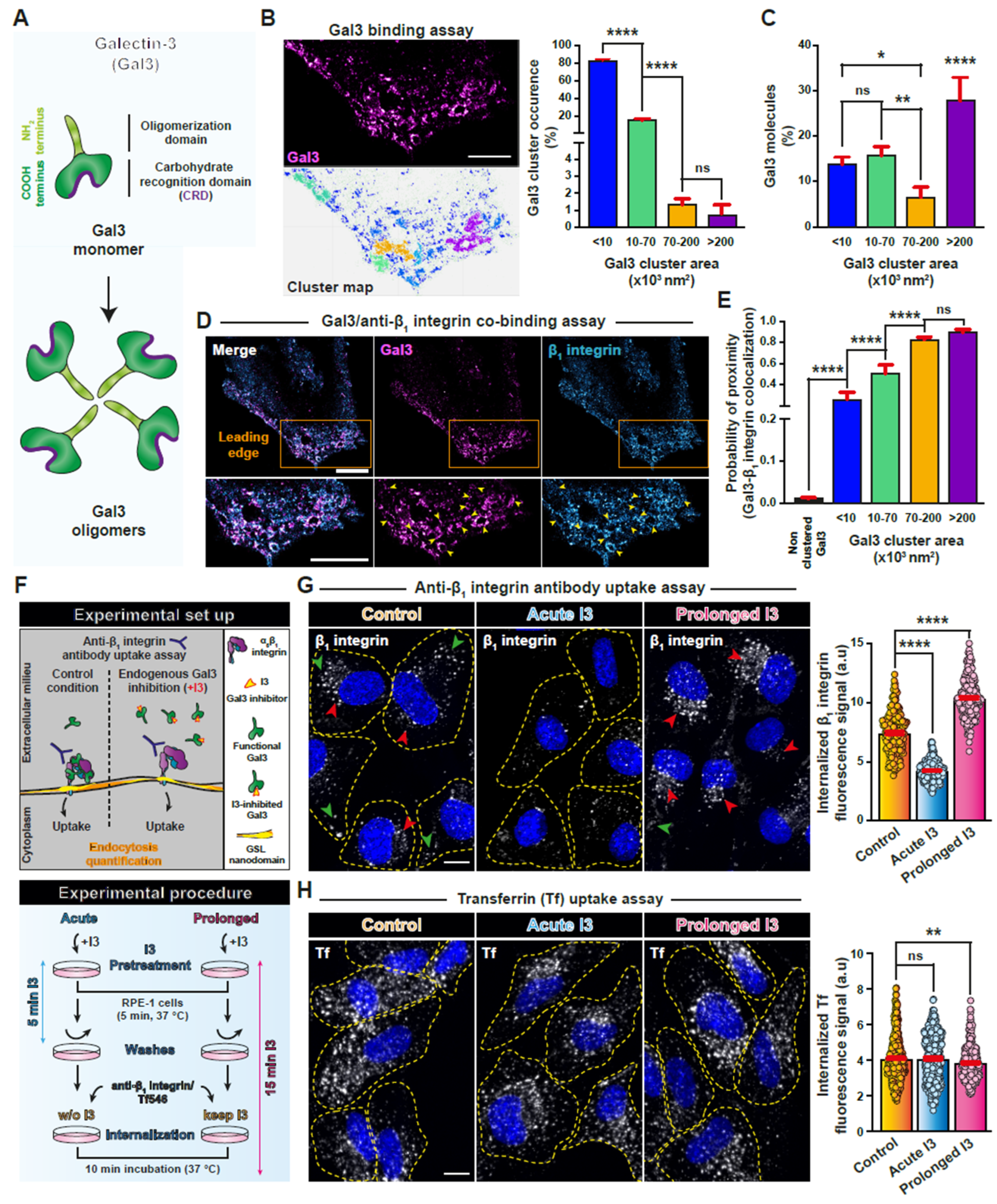 Biomolecules 14 01169 g001