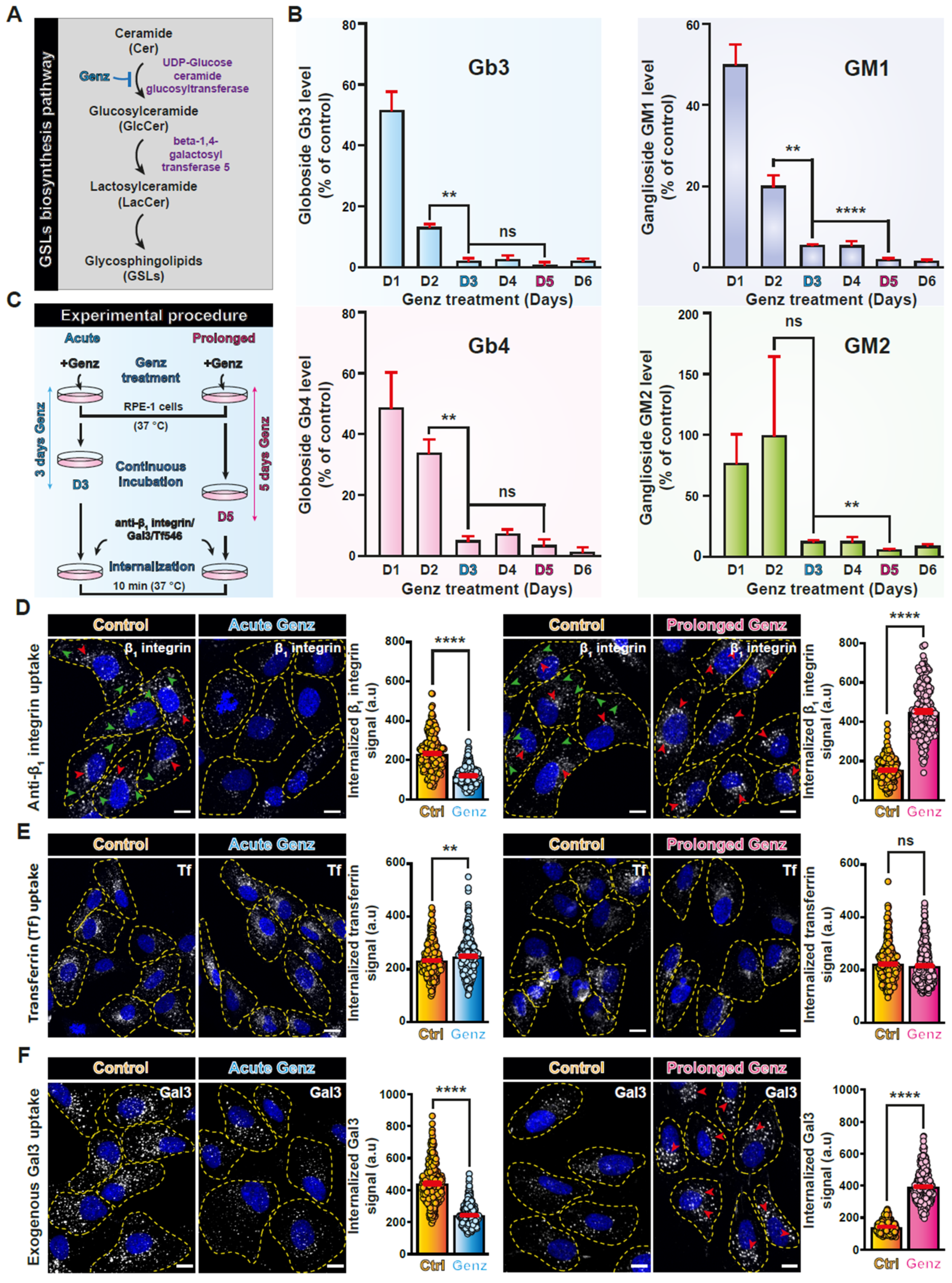 Biomolecules 14 01169 g002