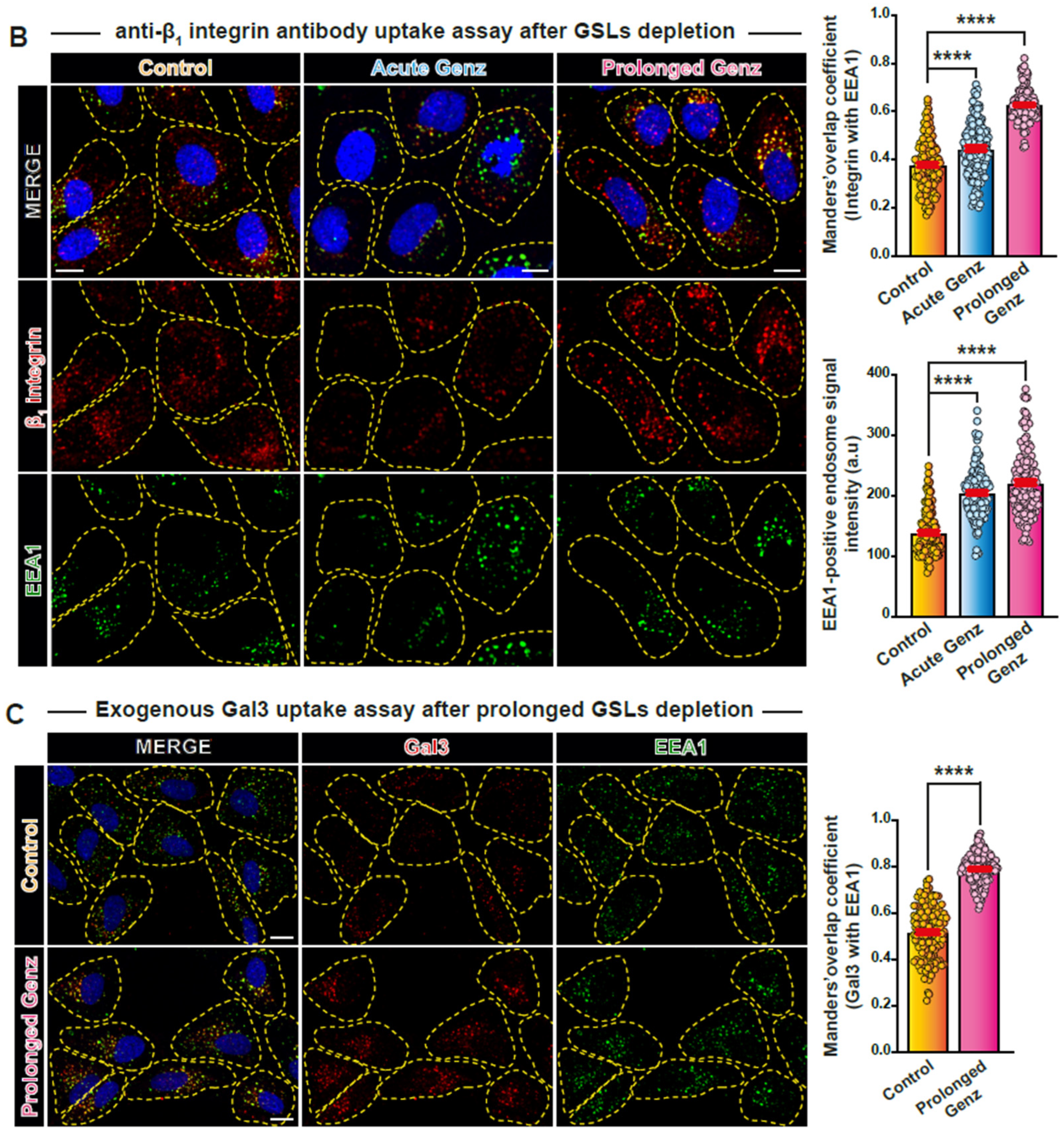 Biomolecules 14 01169 g003b