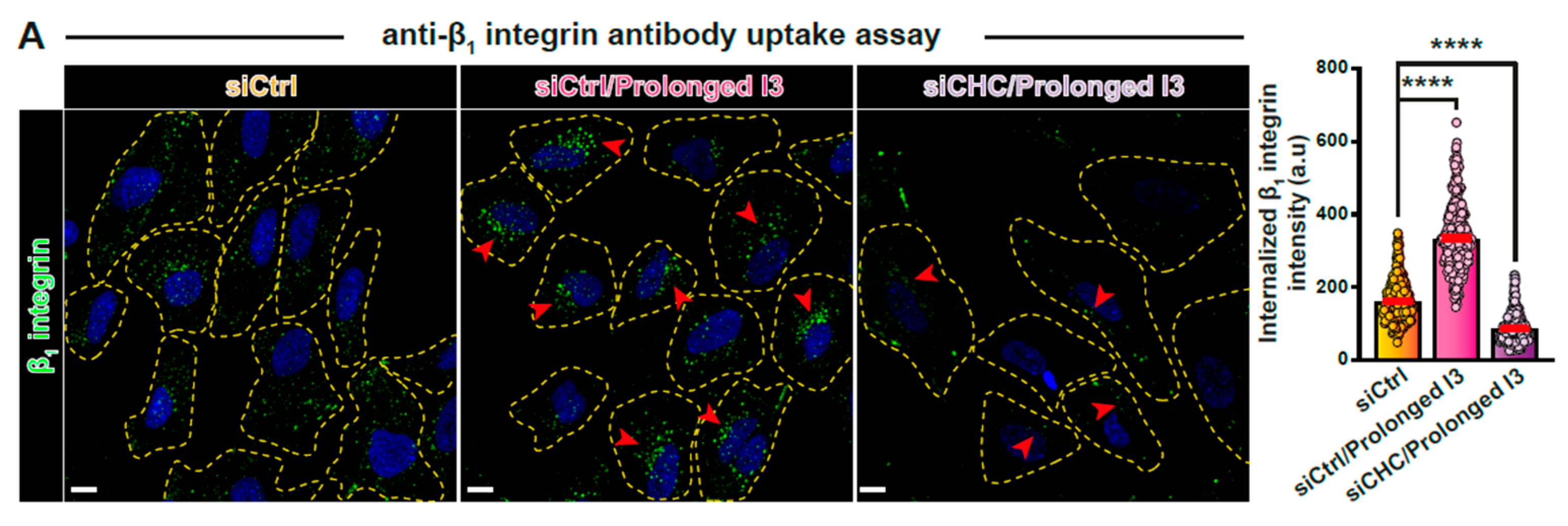 Biomolecules 14 01169 g005a