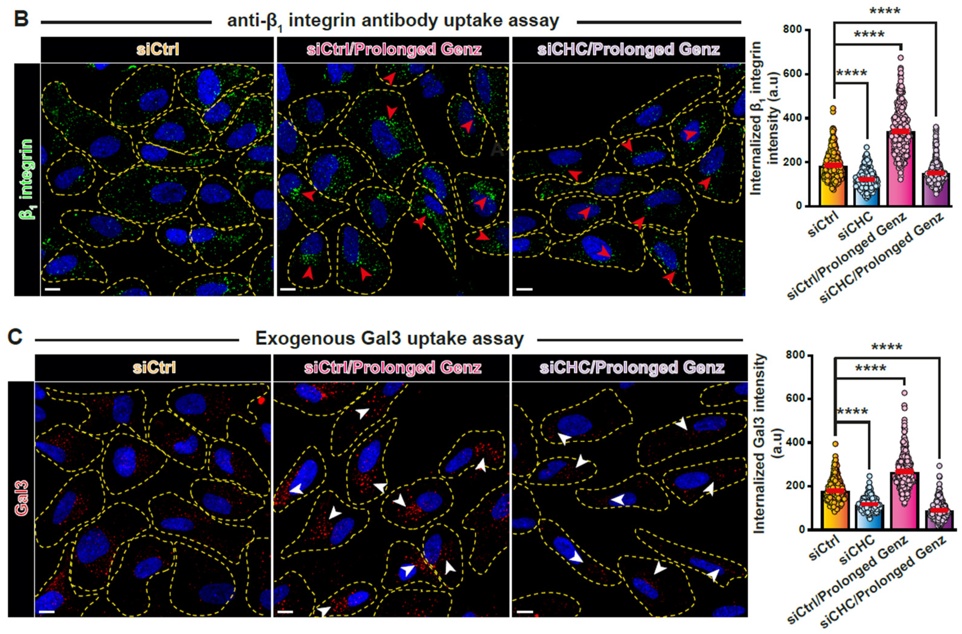 Biomolecules 14 01169 g005b