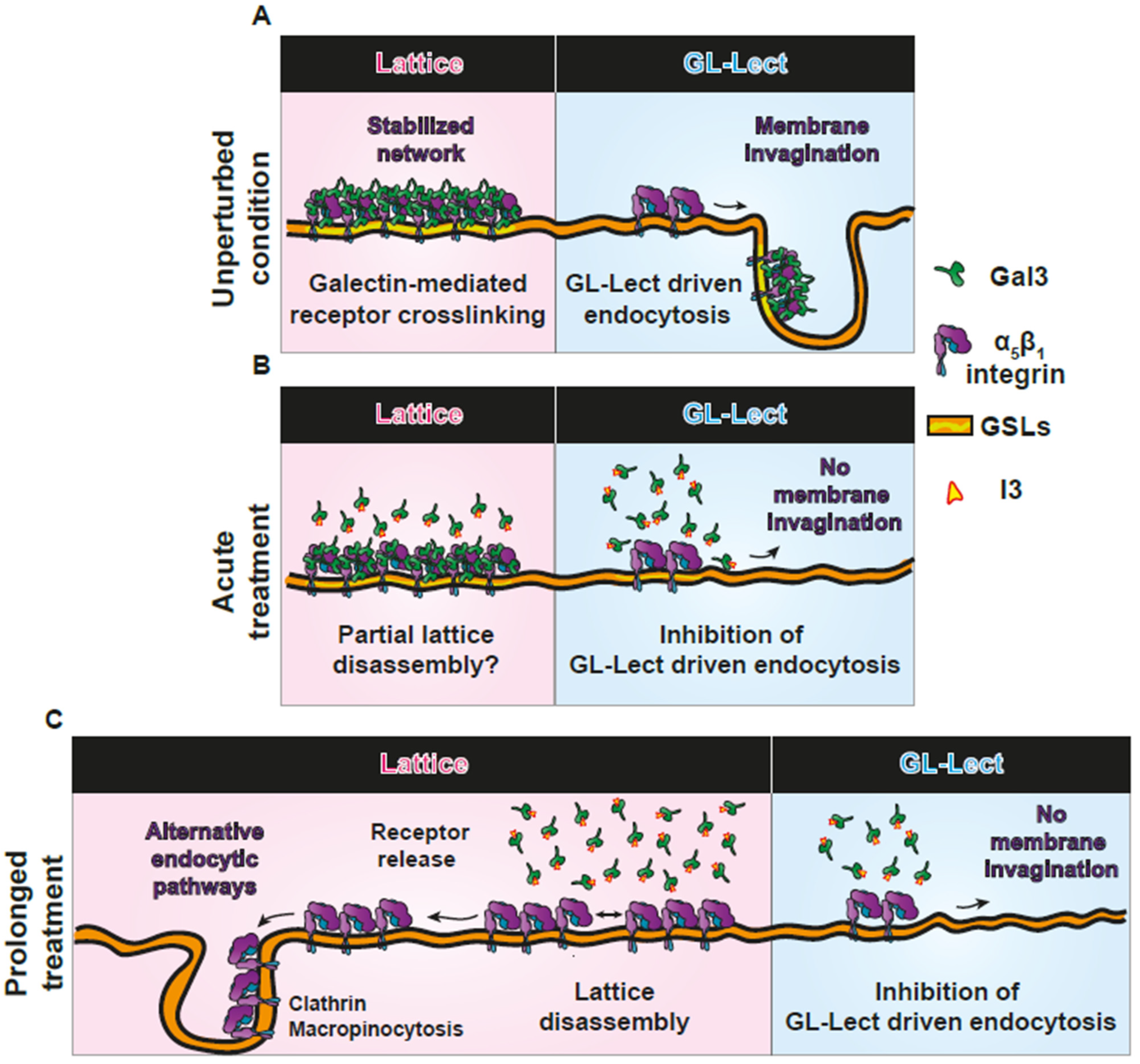 Biomolecules 14 01169 g006