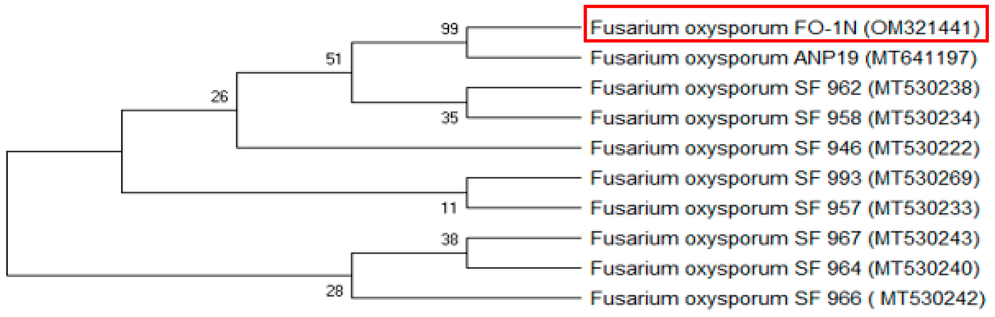 Biomolecules 14 01170 g002