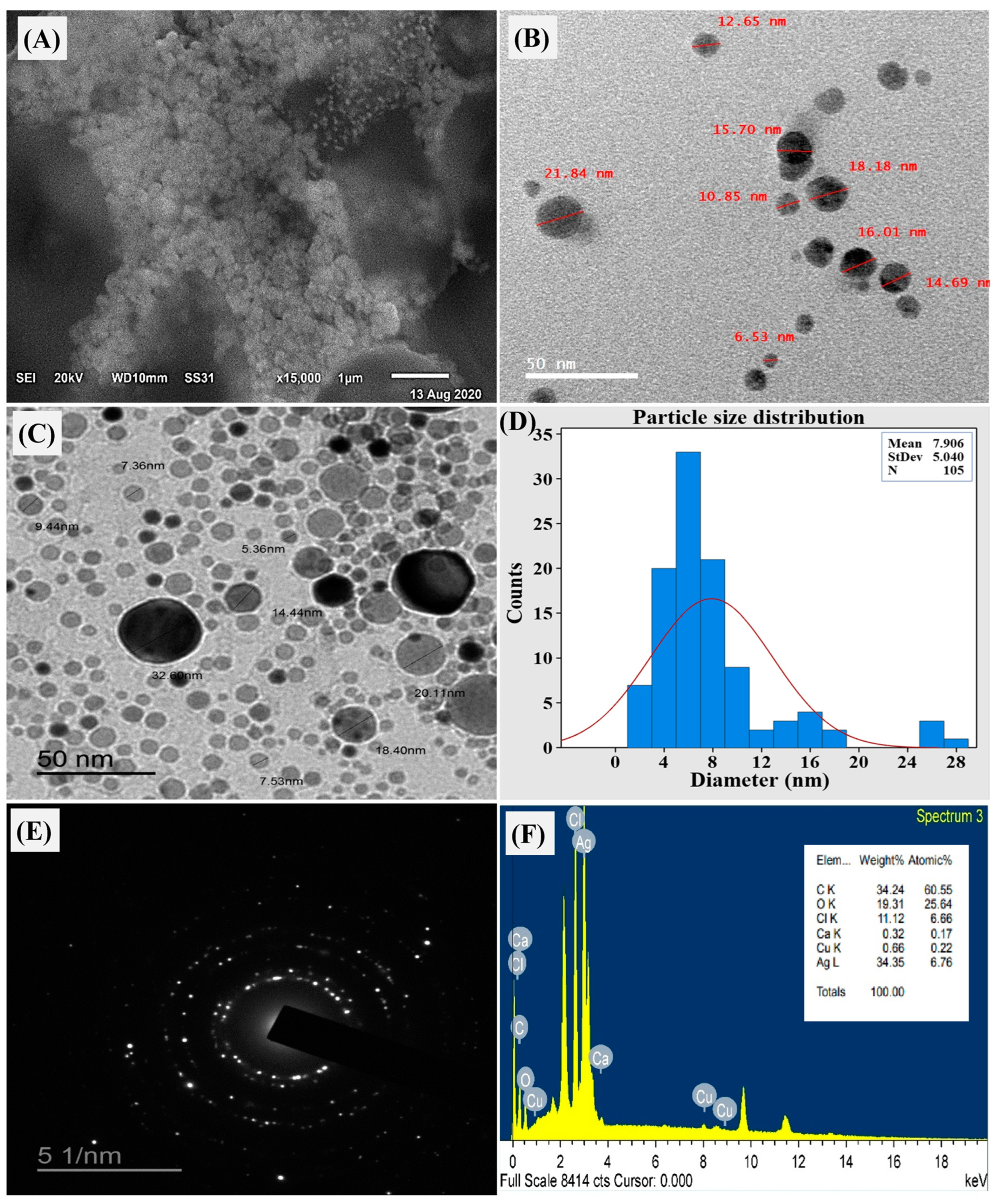 Biomolecules 14 01170 g007