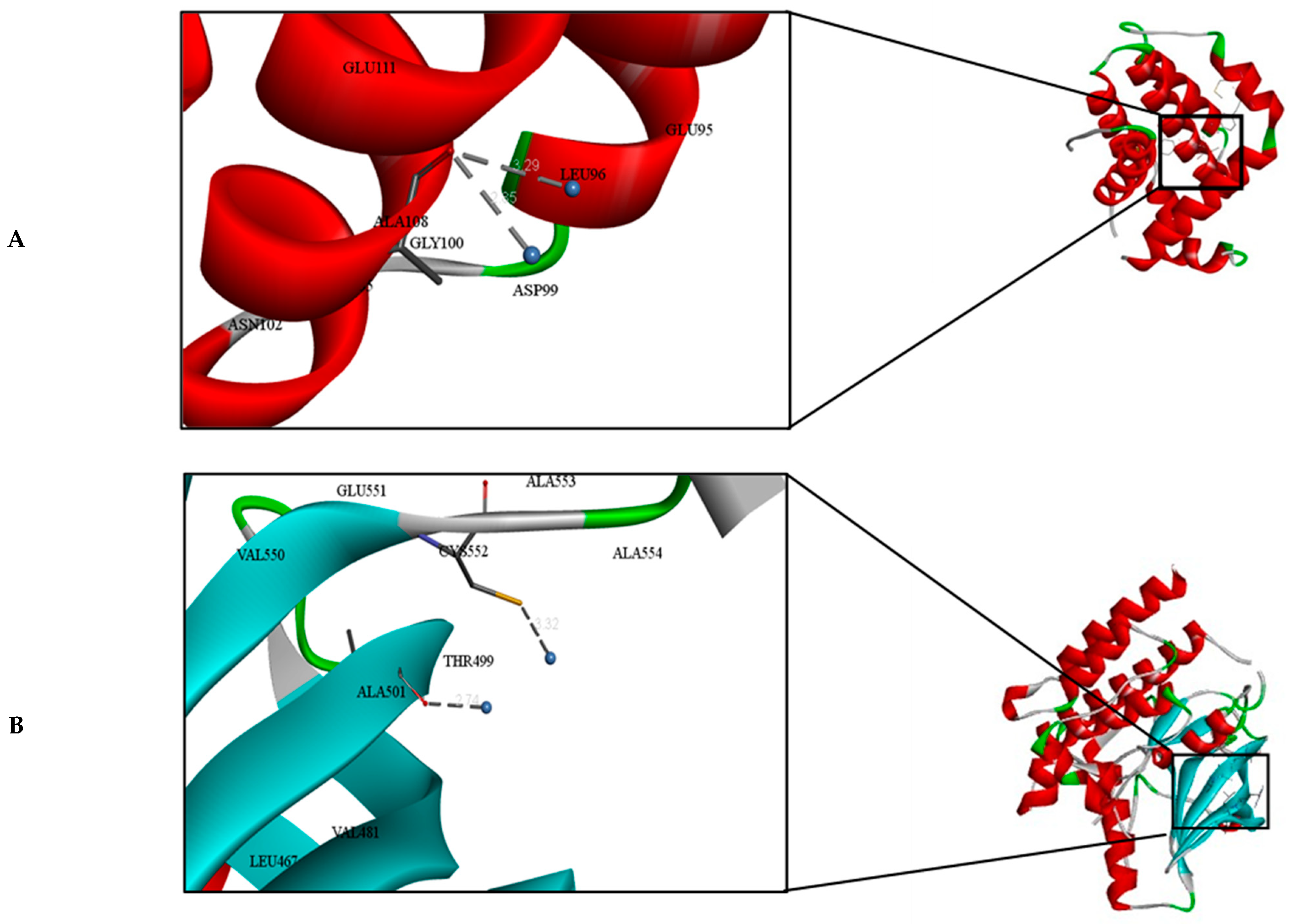 Biomolecules 14 01170 g011