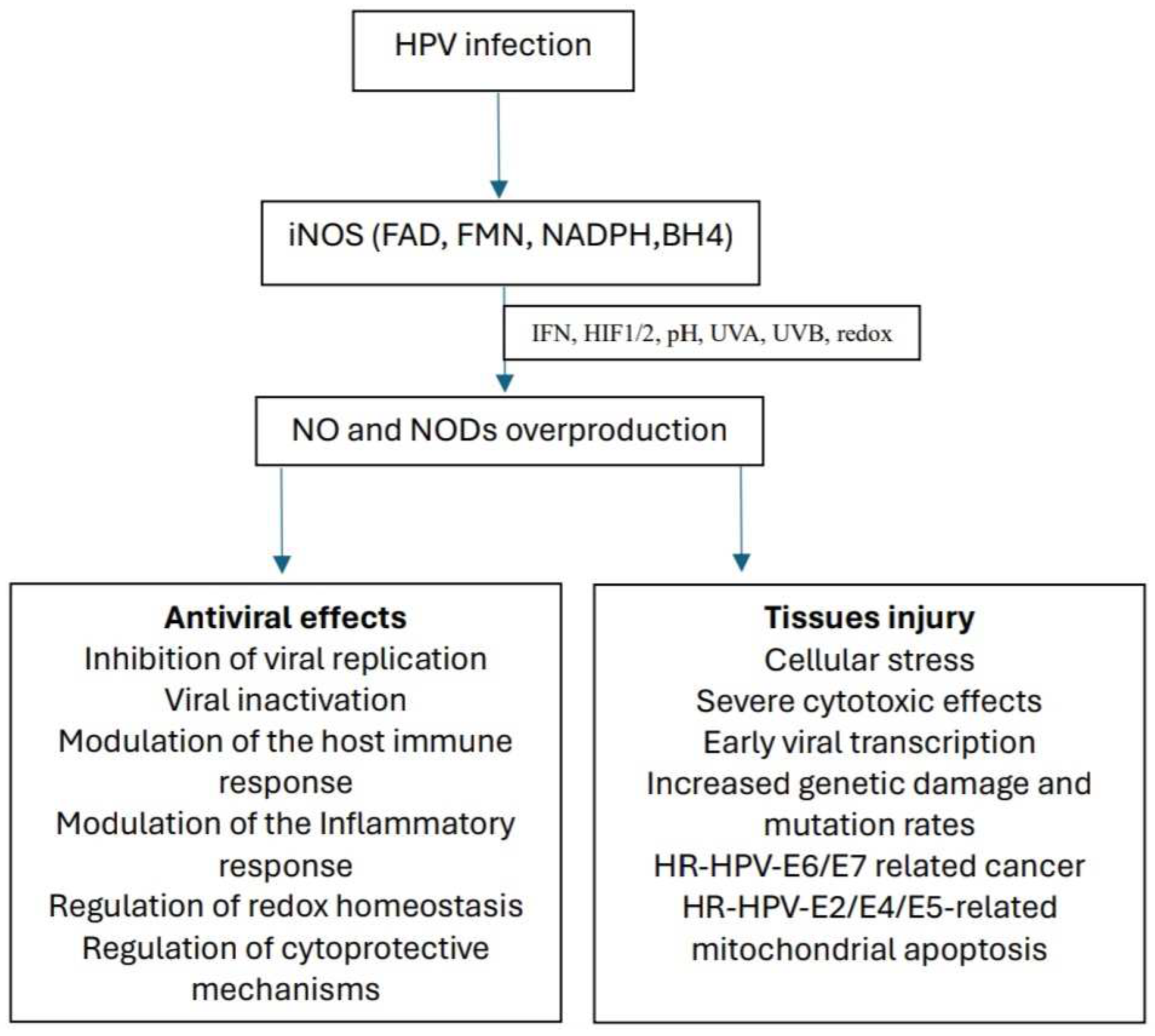 Biomolecules 14 01172 g001