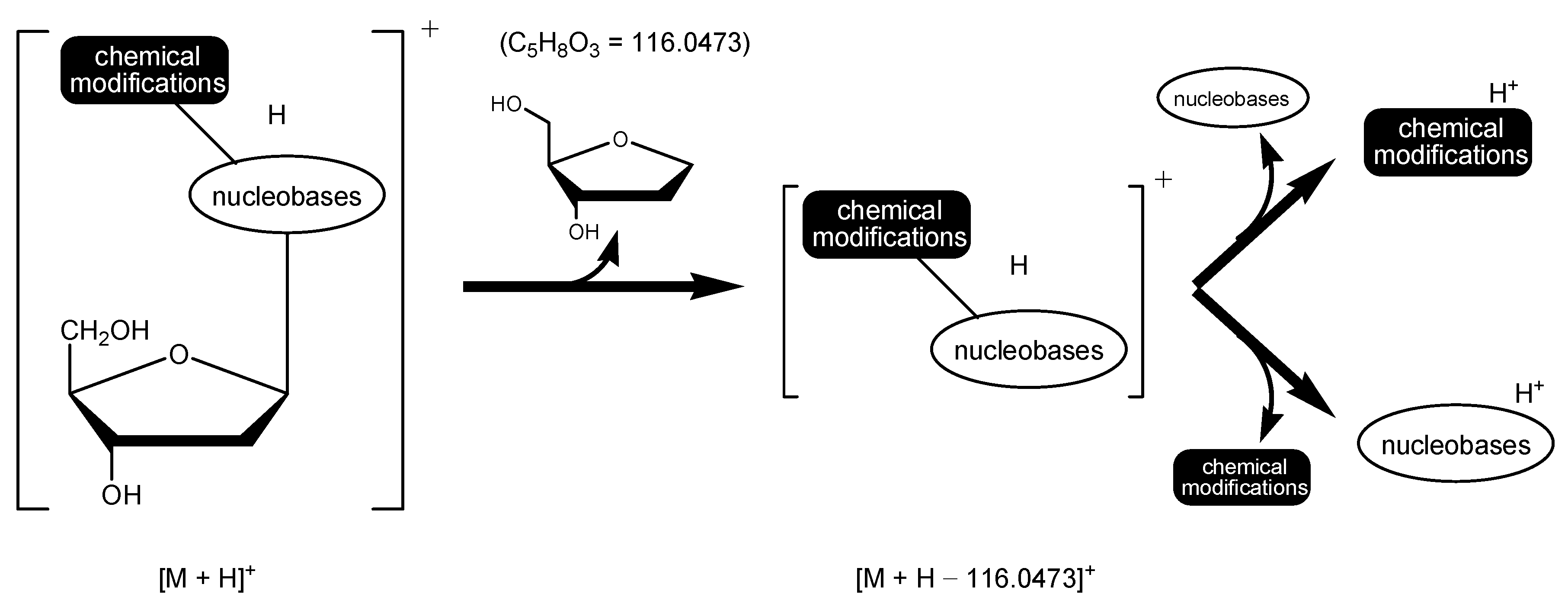 Biomolecules 14 01173 g002