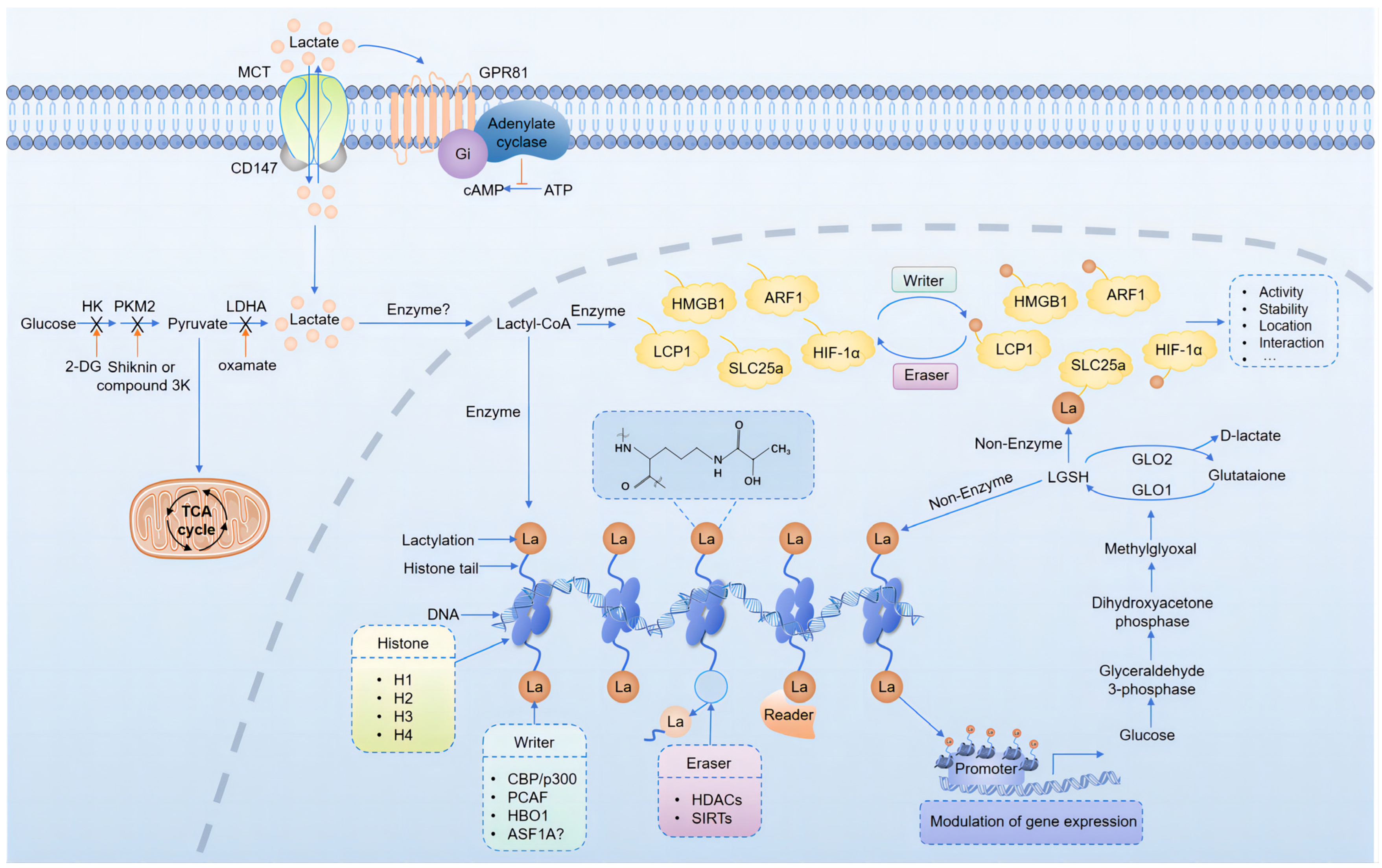 Biomolecules 14 01175 g002