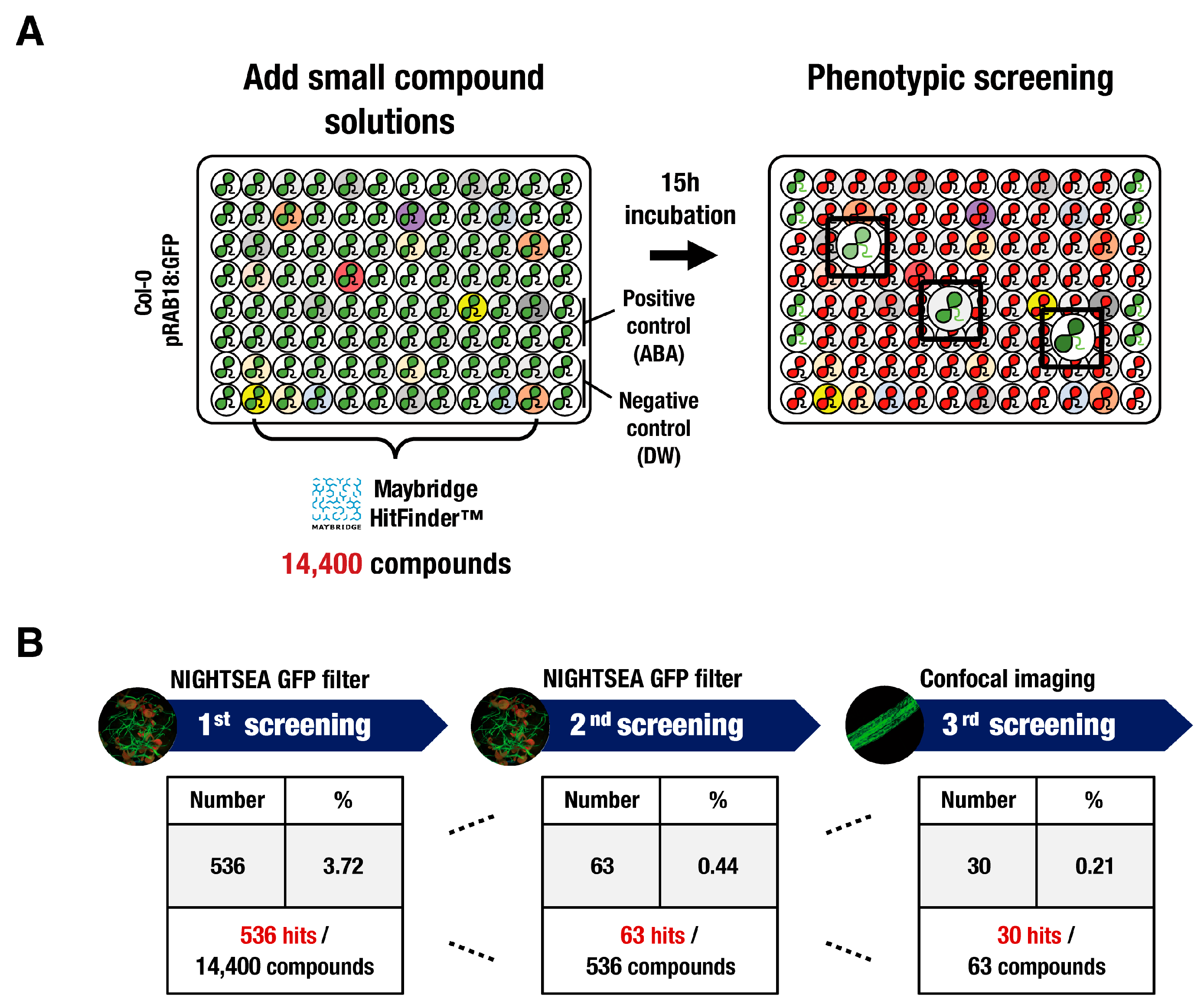 Biomolecules 14 01177 g001