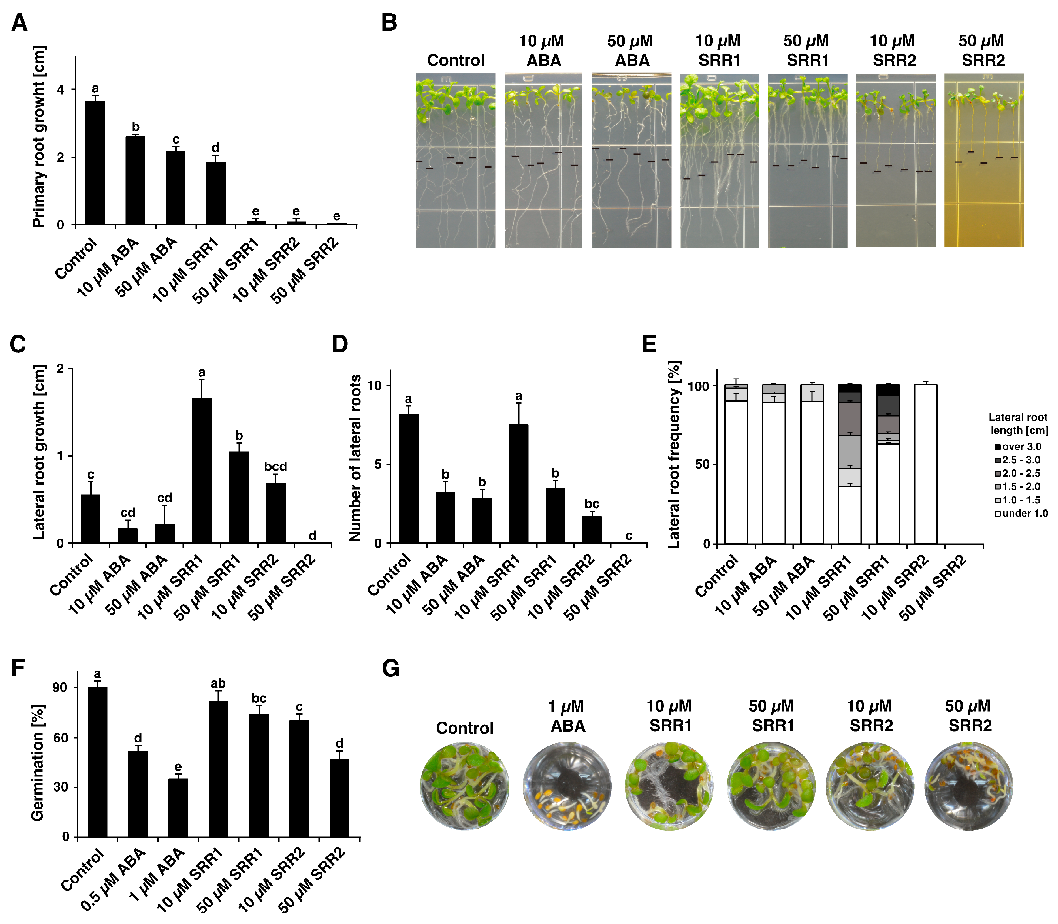 Biomolecules 14 01177 g003