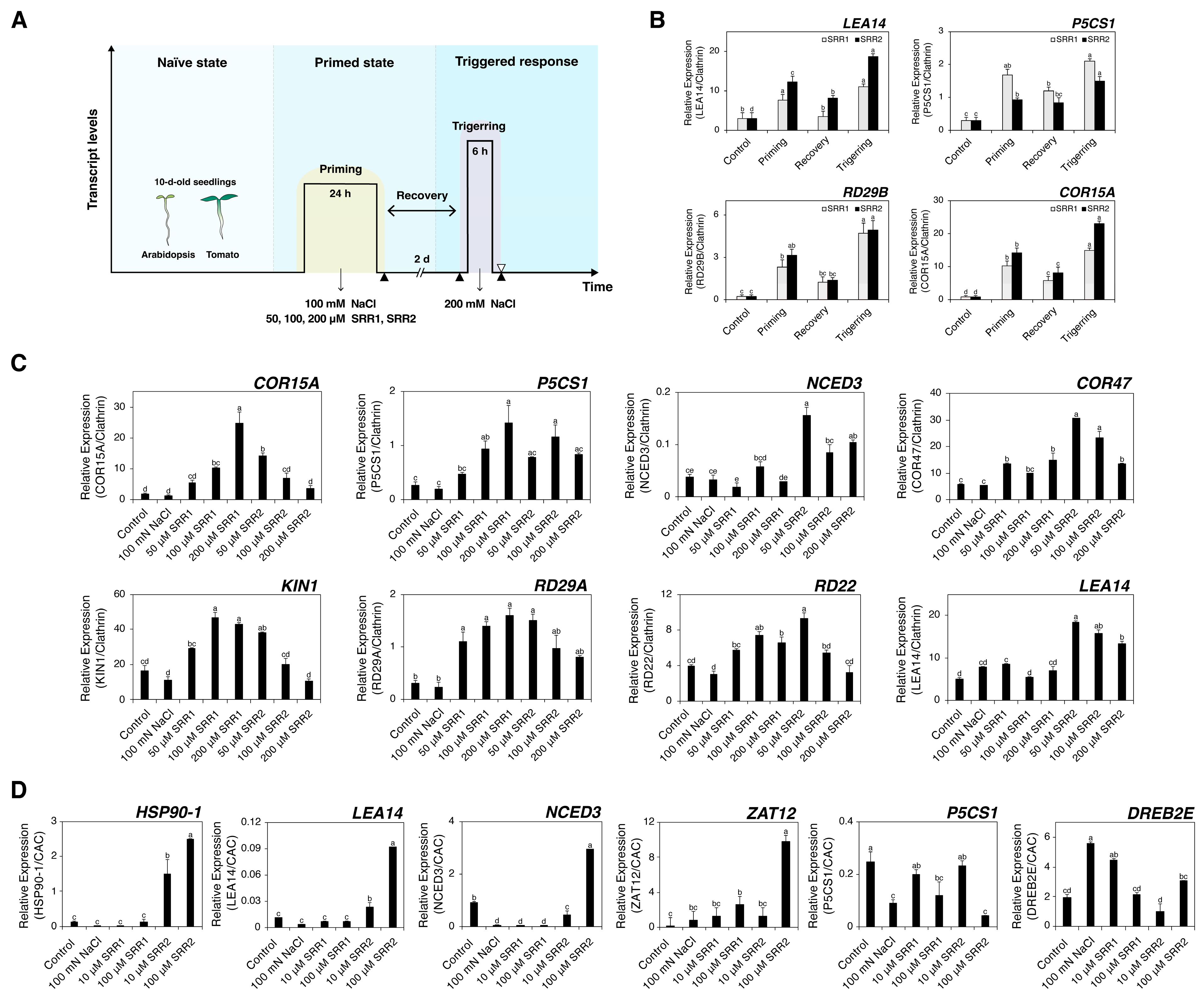 Biomolecules 14 01177 g008