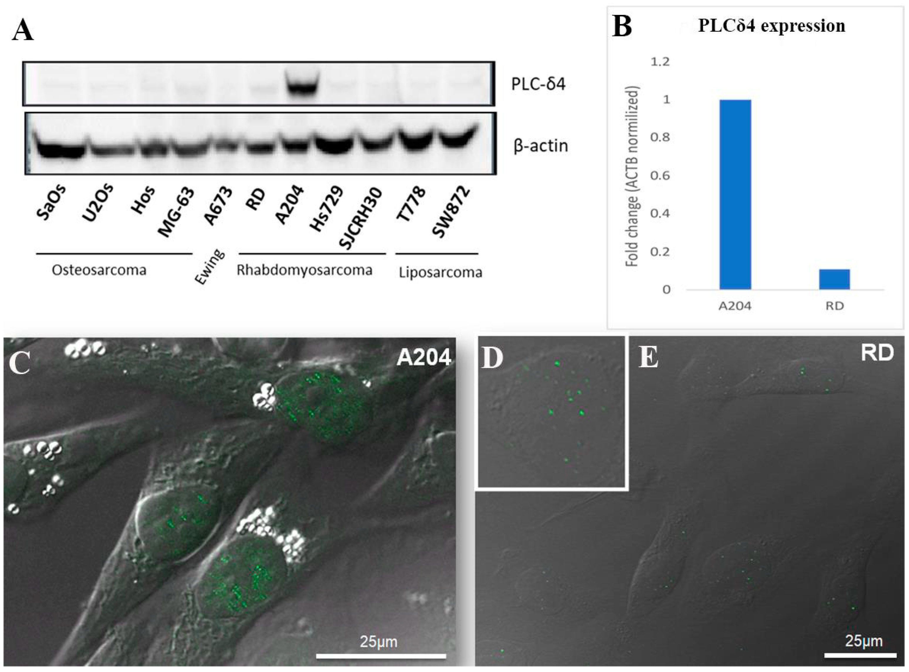 Biomolecules 14 01180 g001