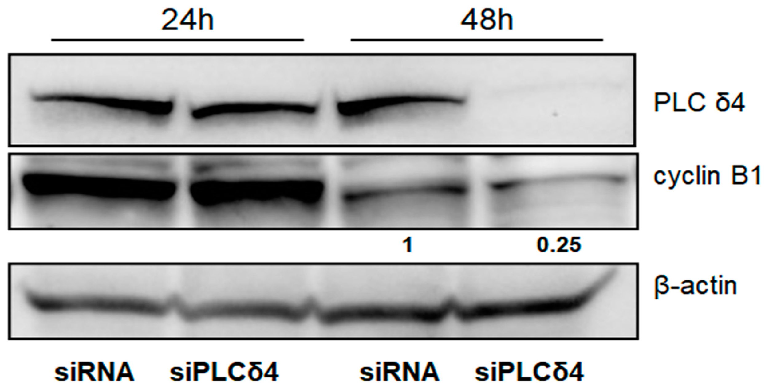 Biomolecules 14 01180 g007