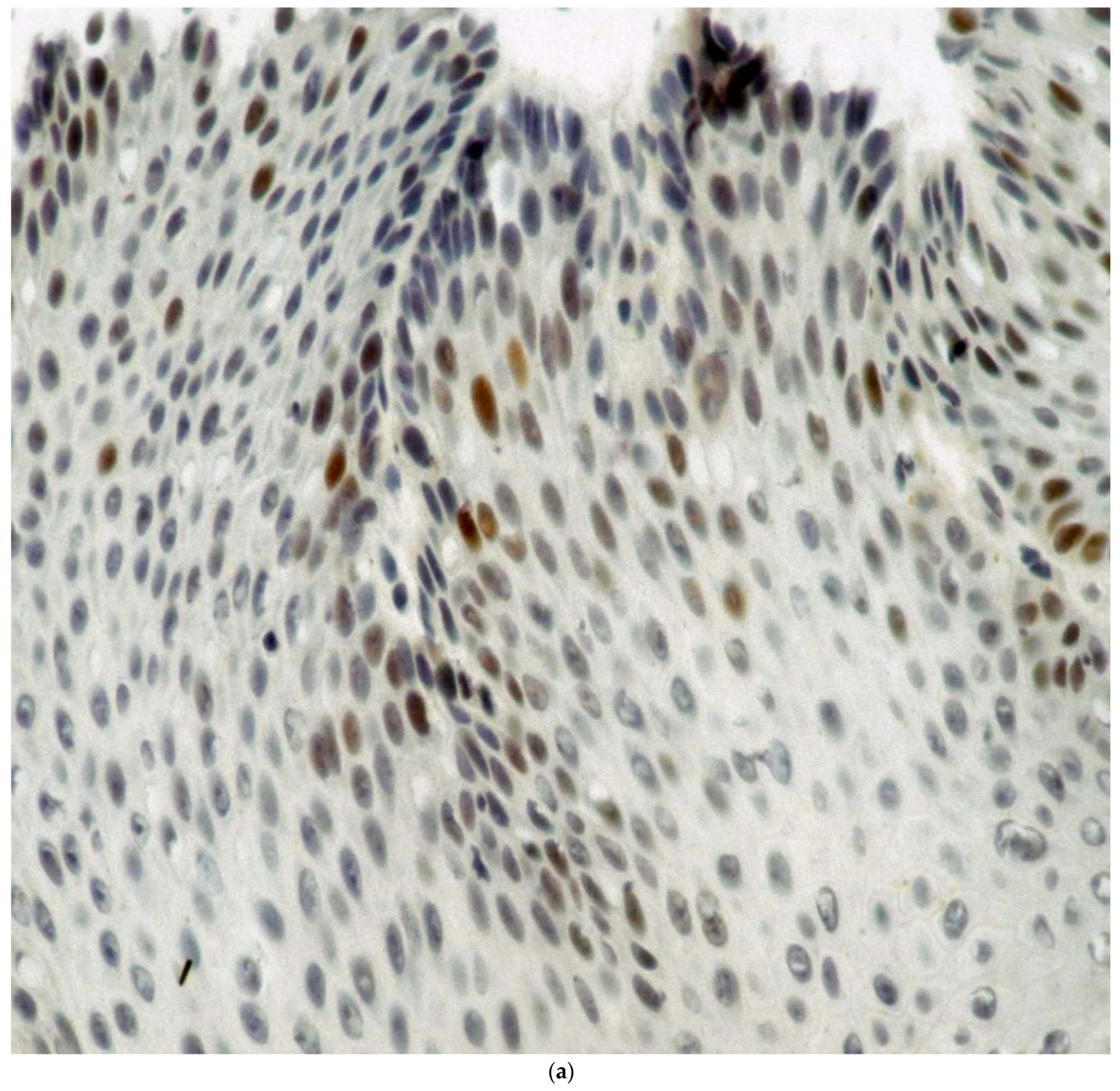 Biomolecules 14 01182 g002a