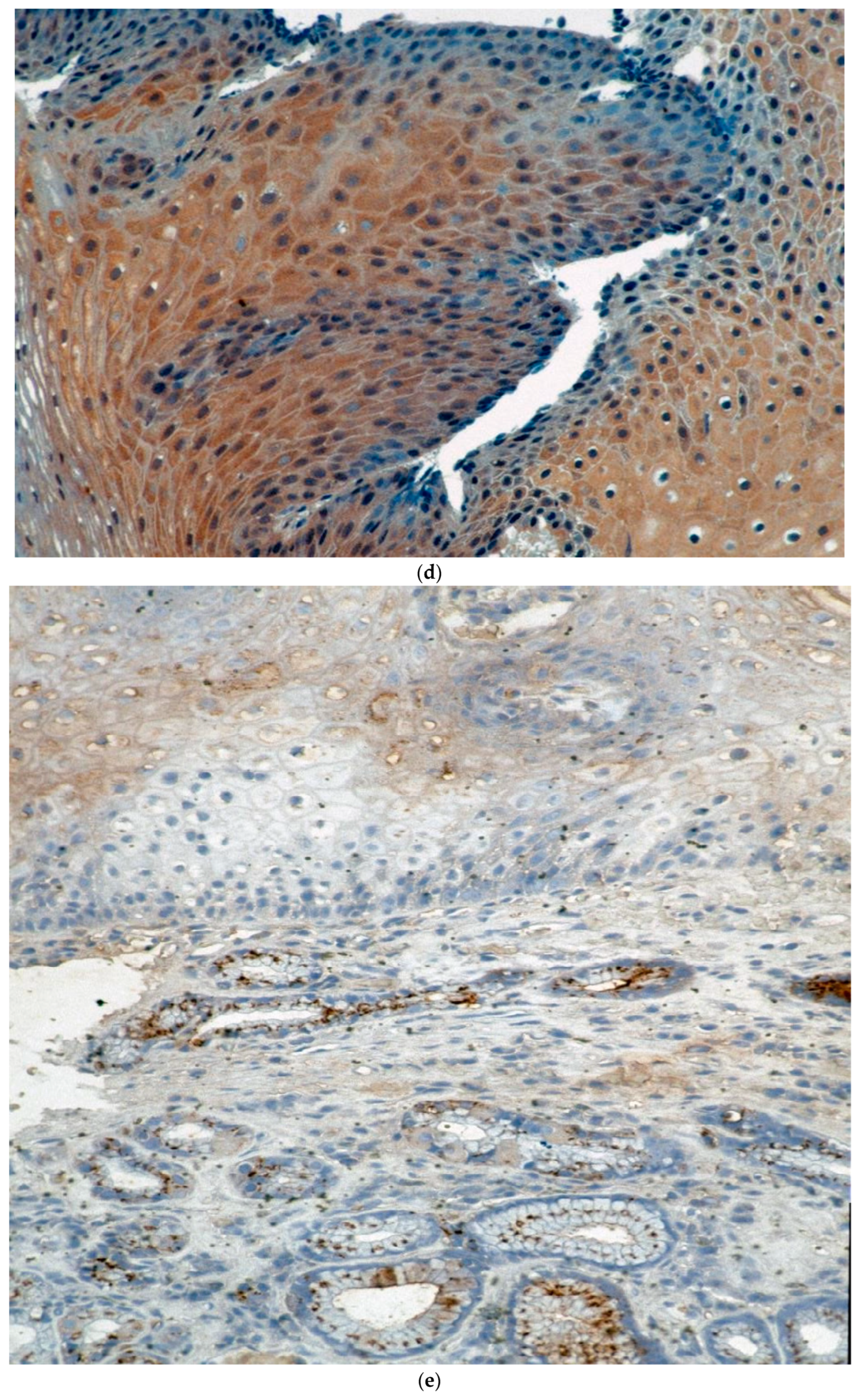 Biomolecules 14 01182 g002d