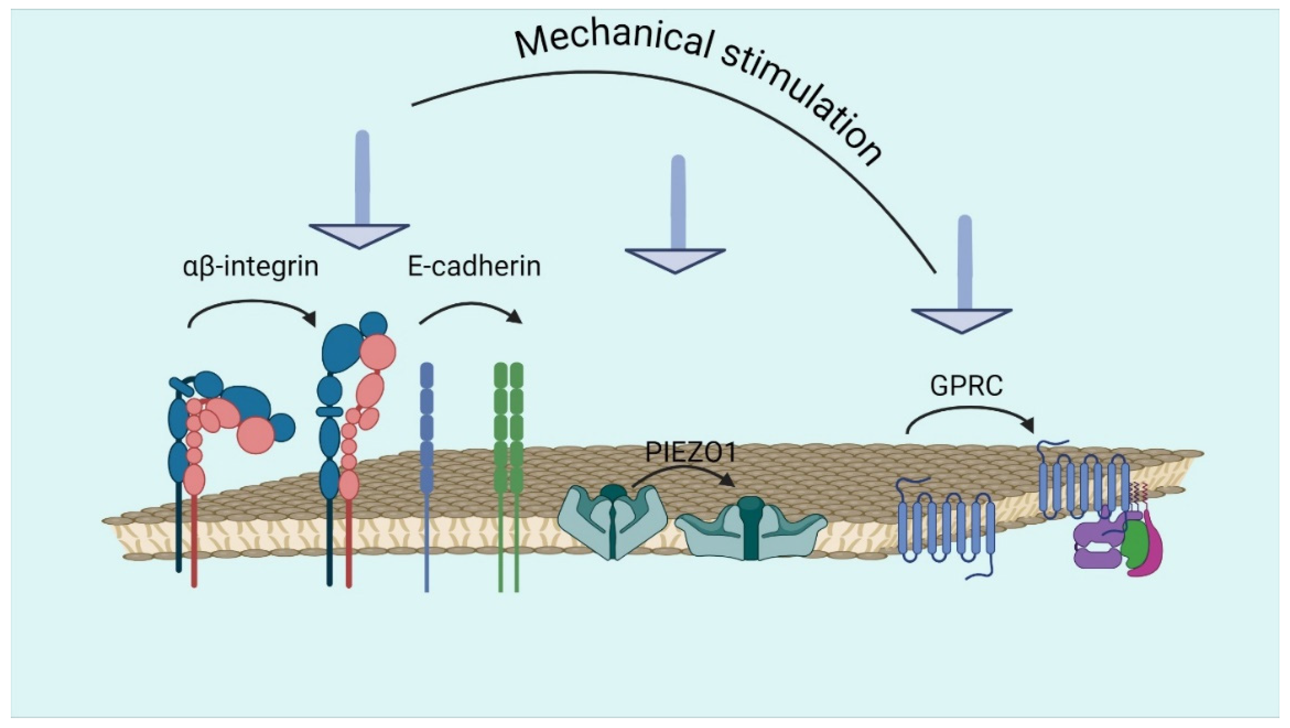 Biomolecules 14 01186 g002