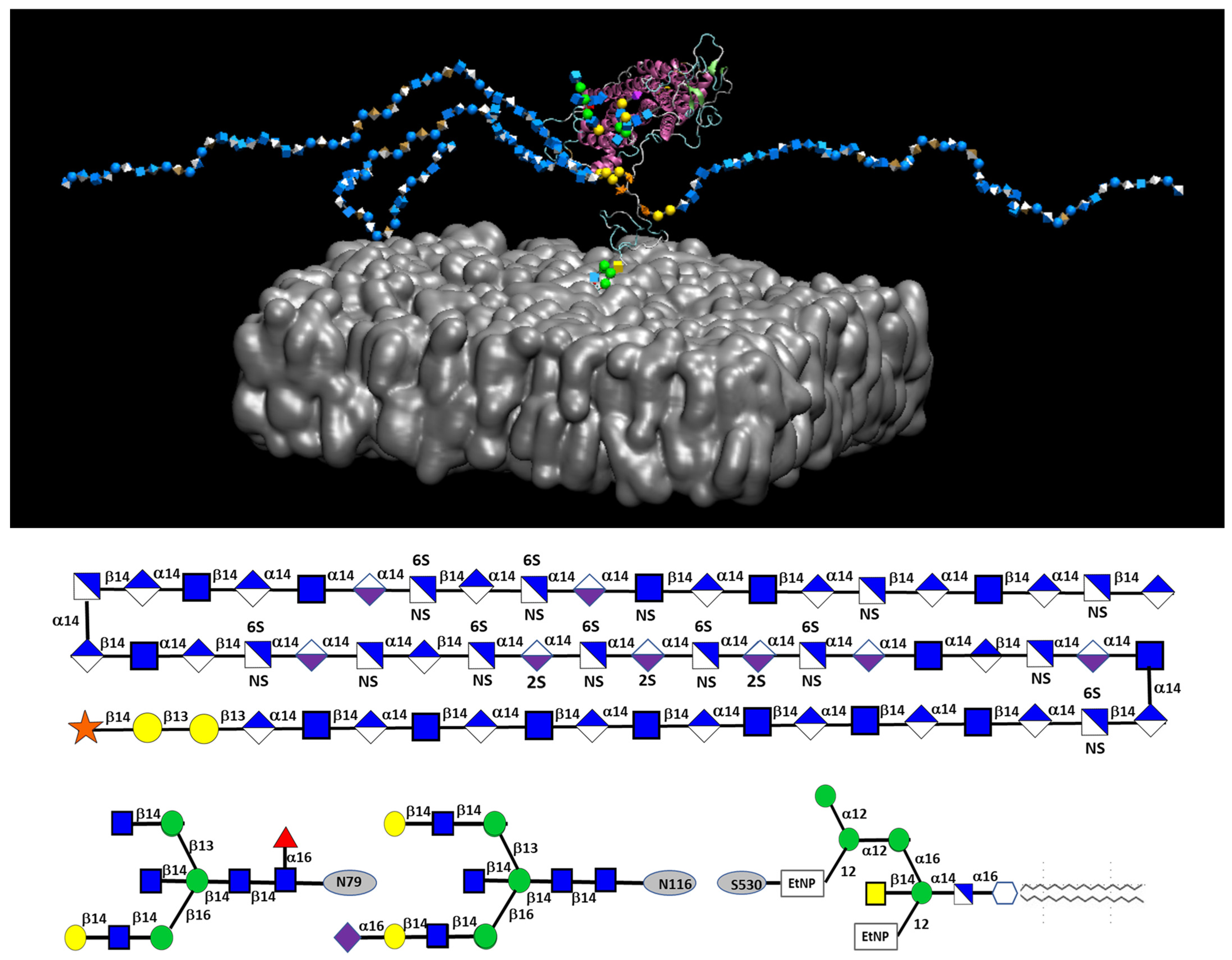 Biomolecules 14 01186 g004