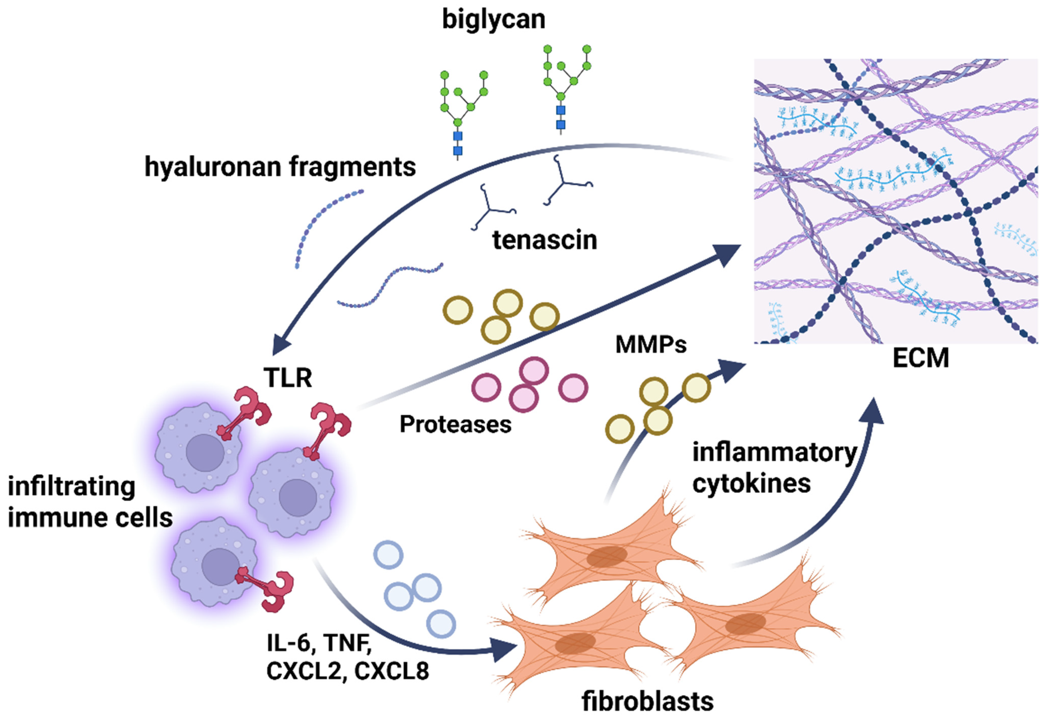 Biomolecules 14 01186 g007