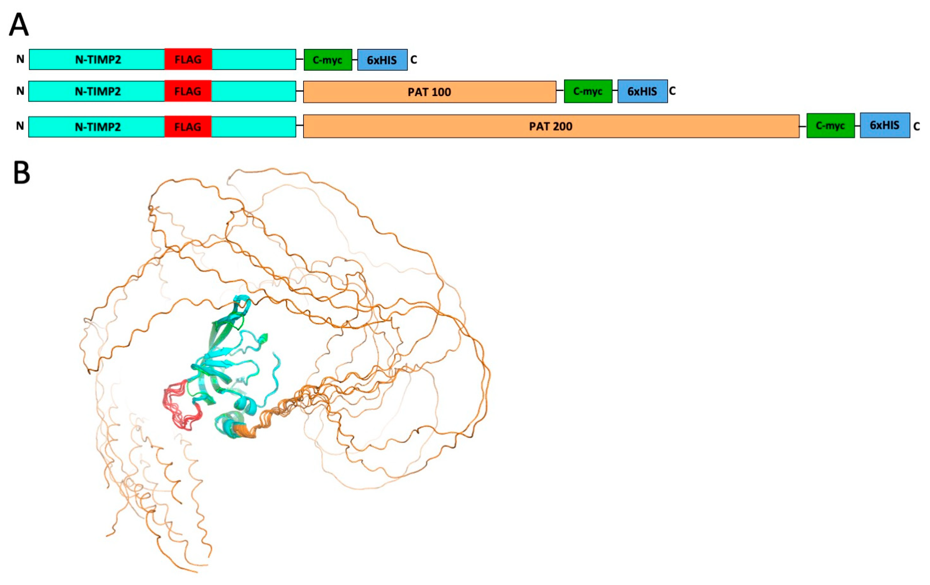 Biomolecules 14 01187 g001
