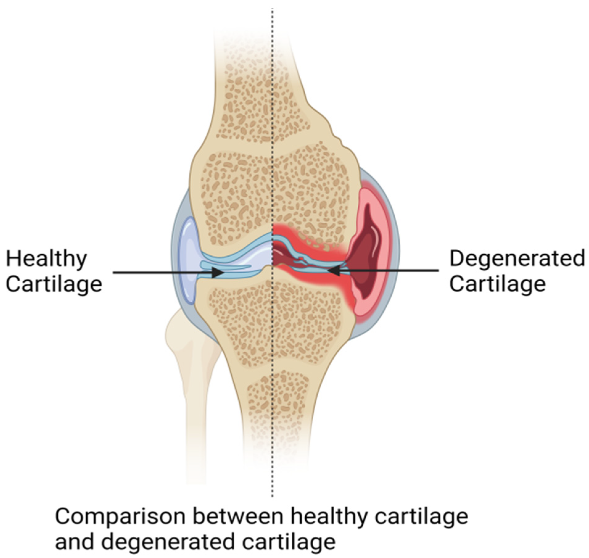 Biomolecules 14 01192 g002