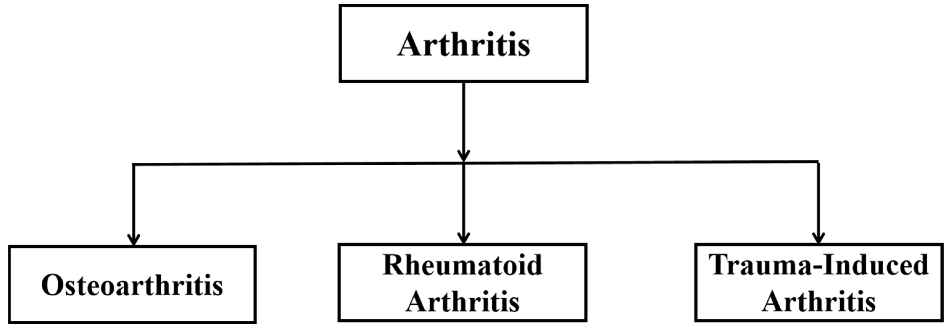 Biomolecules 14 01192 g004