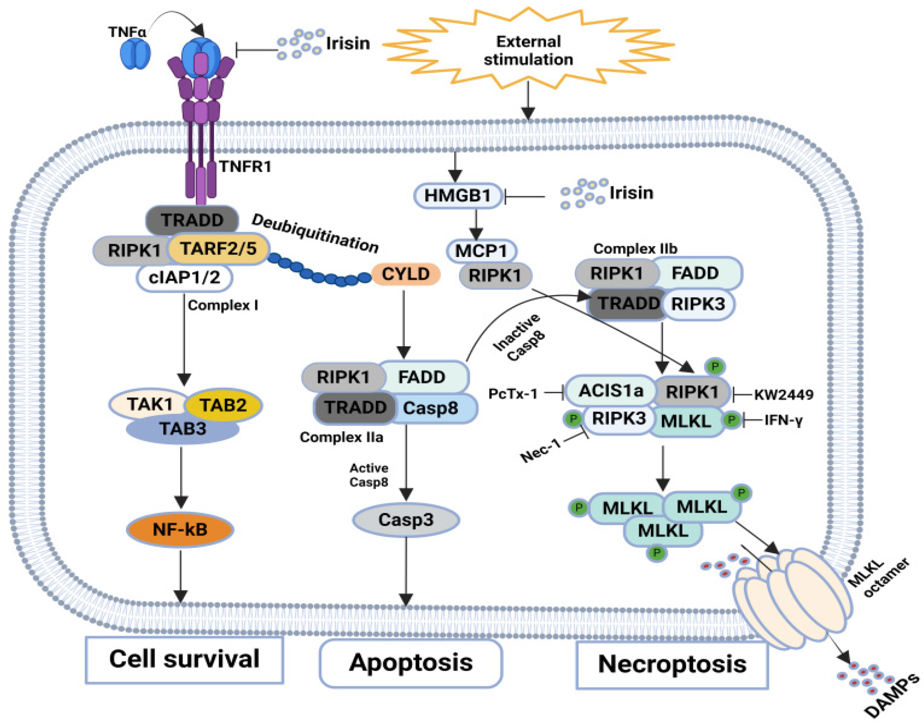 Biomolecules 14 01192 g006