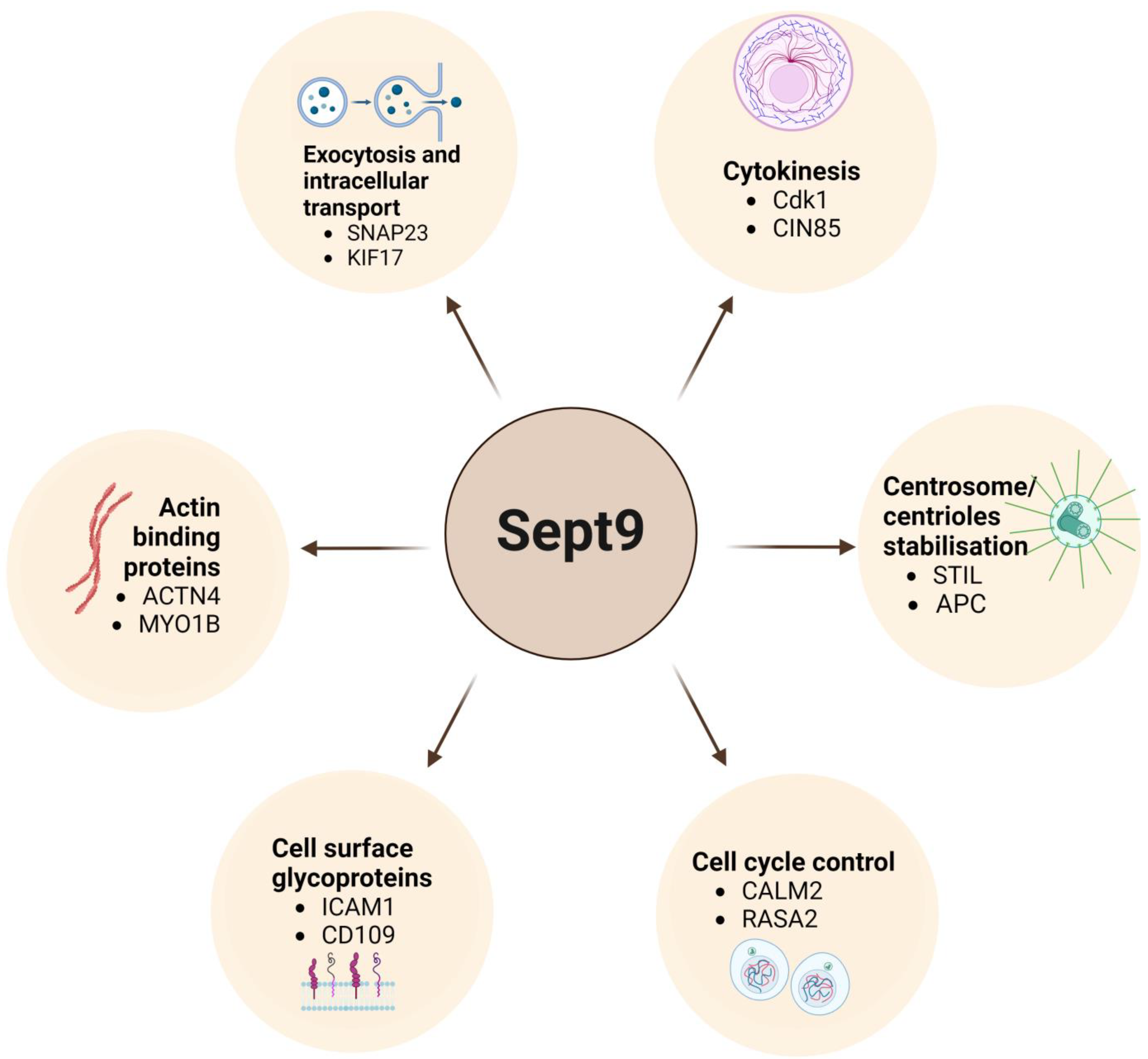 Biomolecules 14 01194 g002 Biomolecules 14 01194 g002