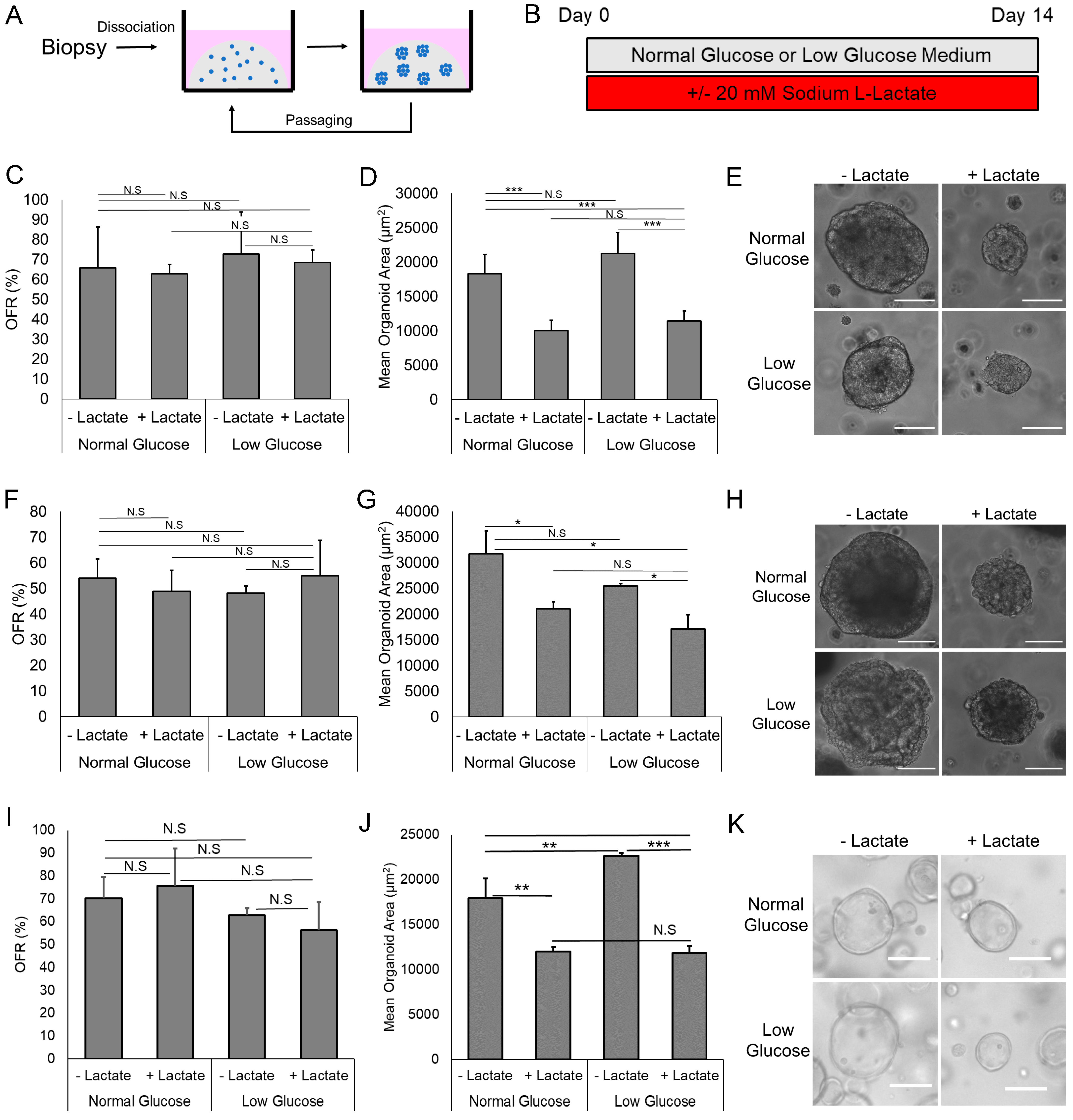 Biomolecules 14 01195 g001