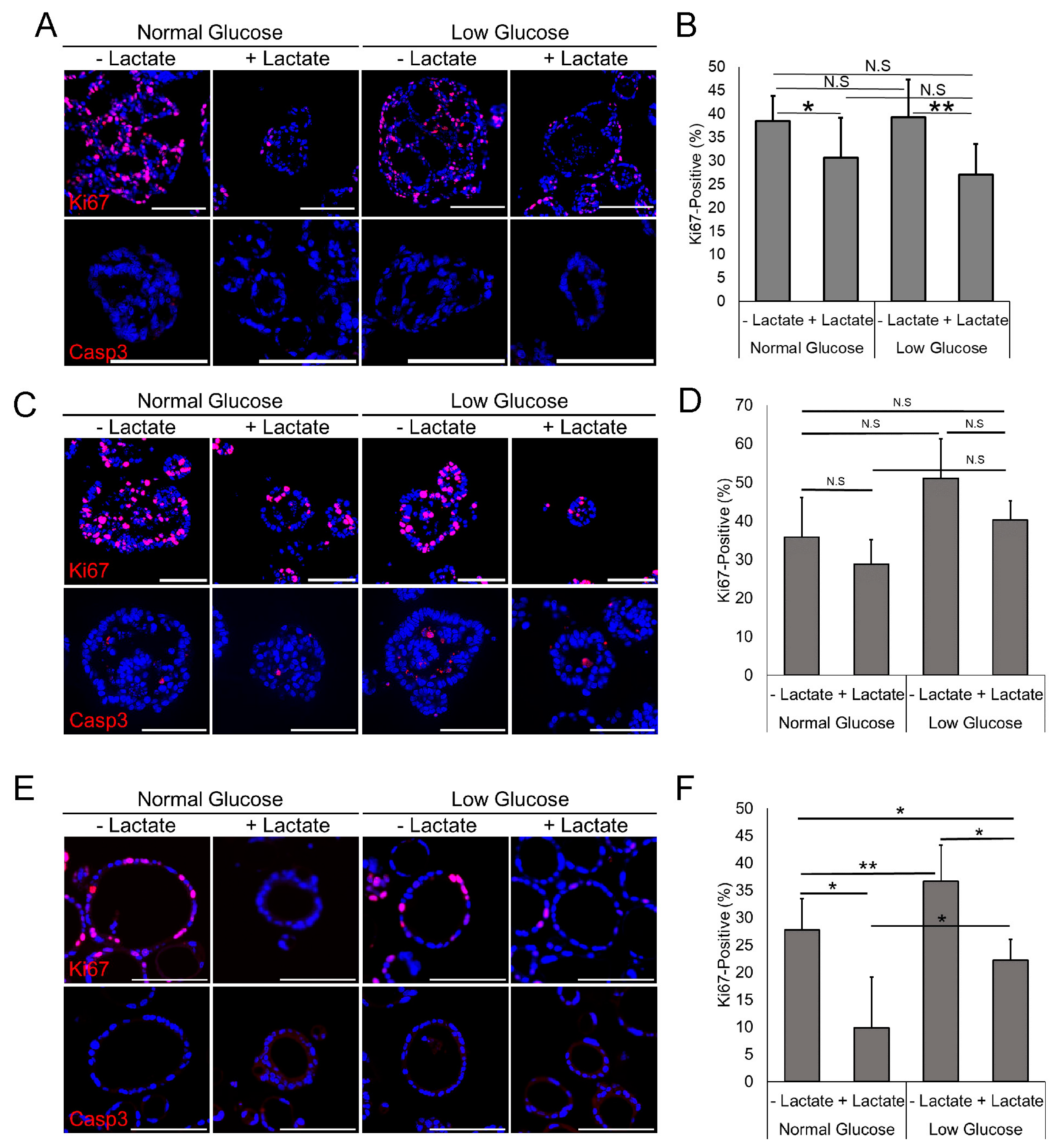 Biomolecules 14 01195 g002