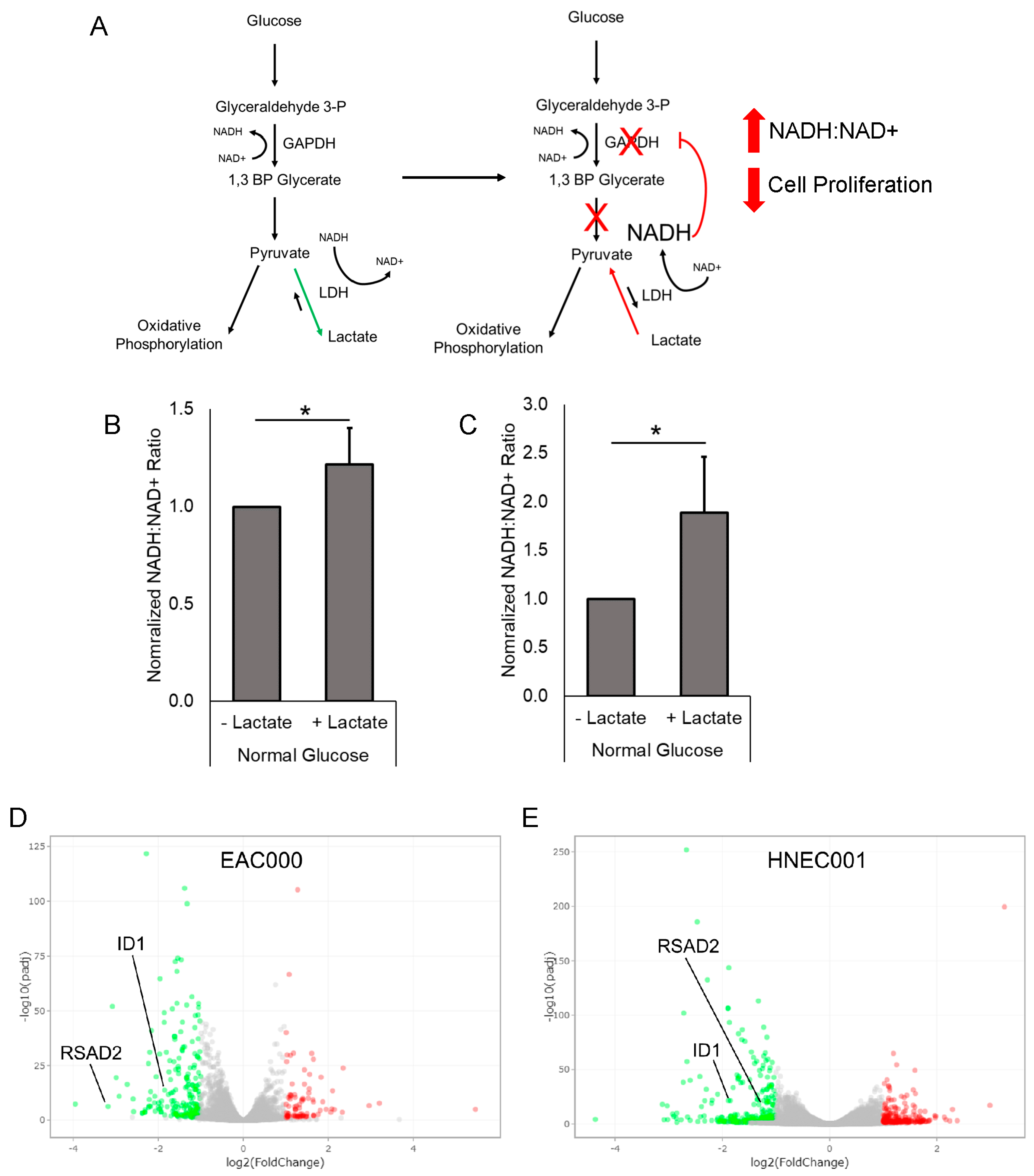 Biomolecules 14 01195 g004