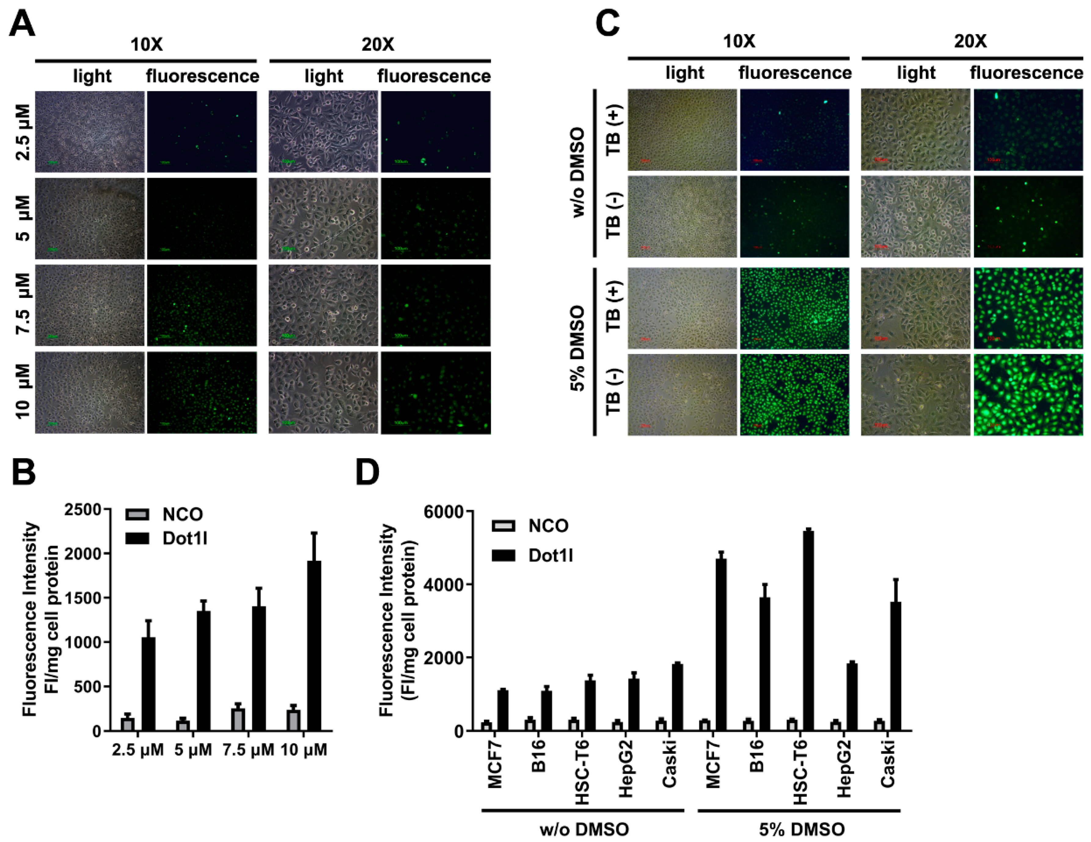 Biomolecules 14 01199 g002