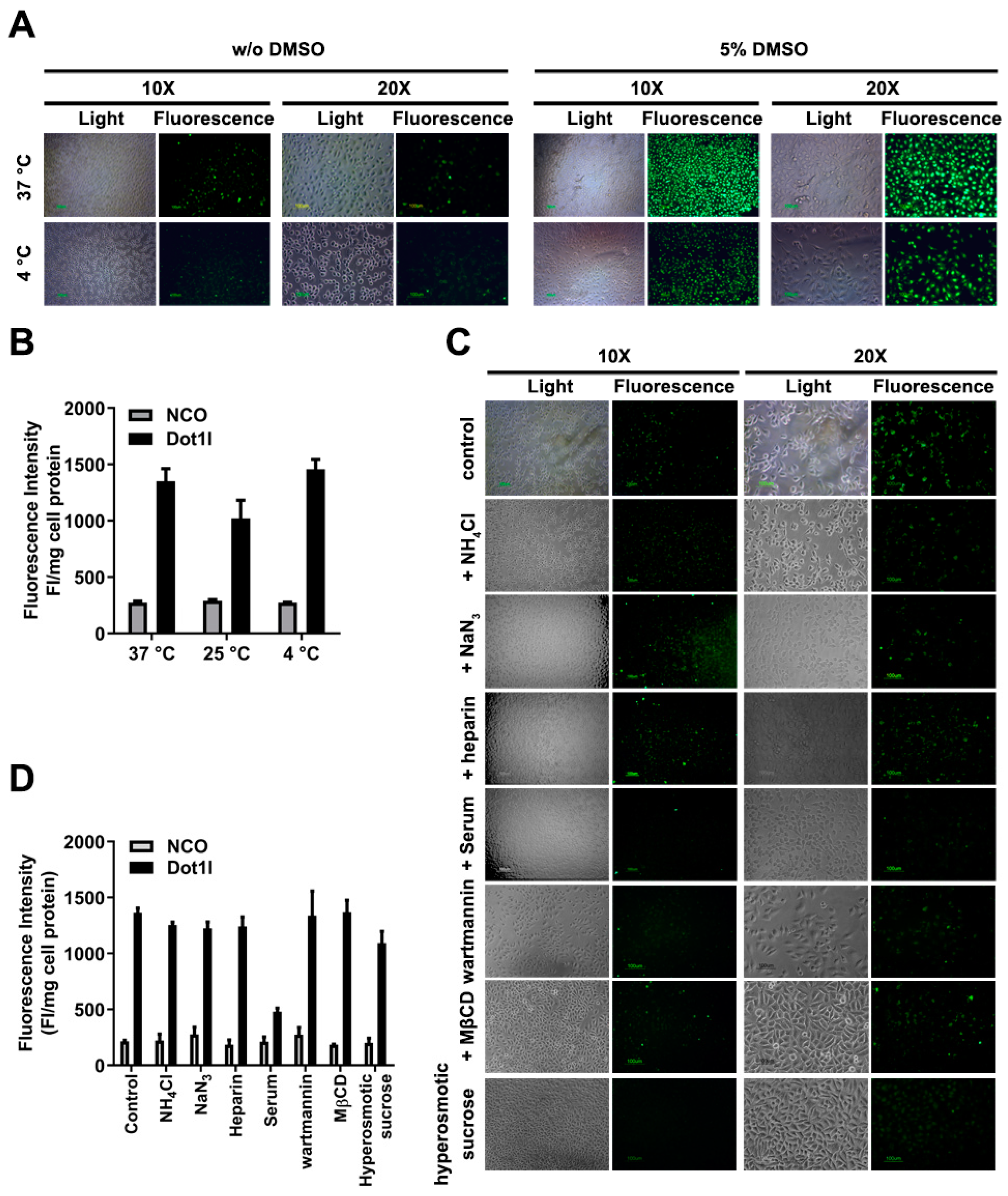 Biomolecules 14 01199 g003