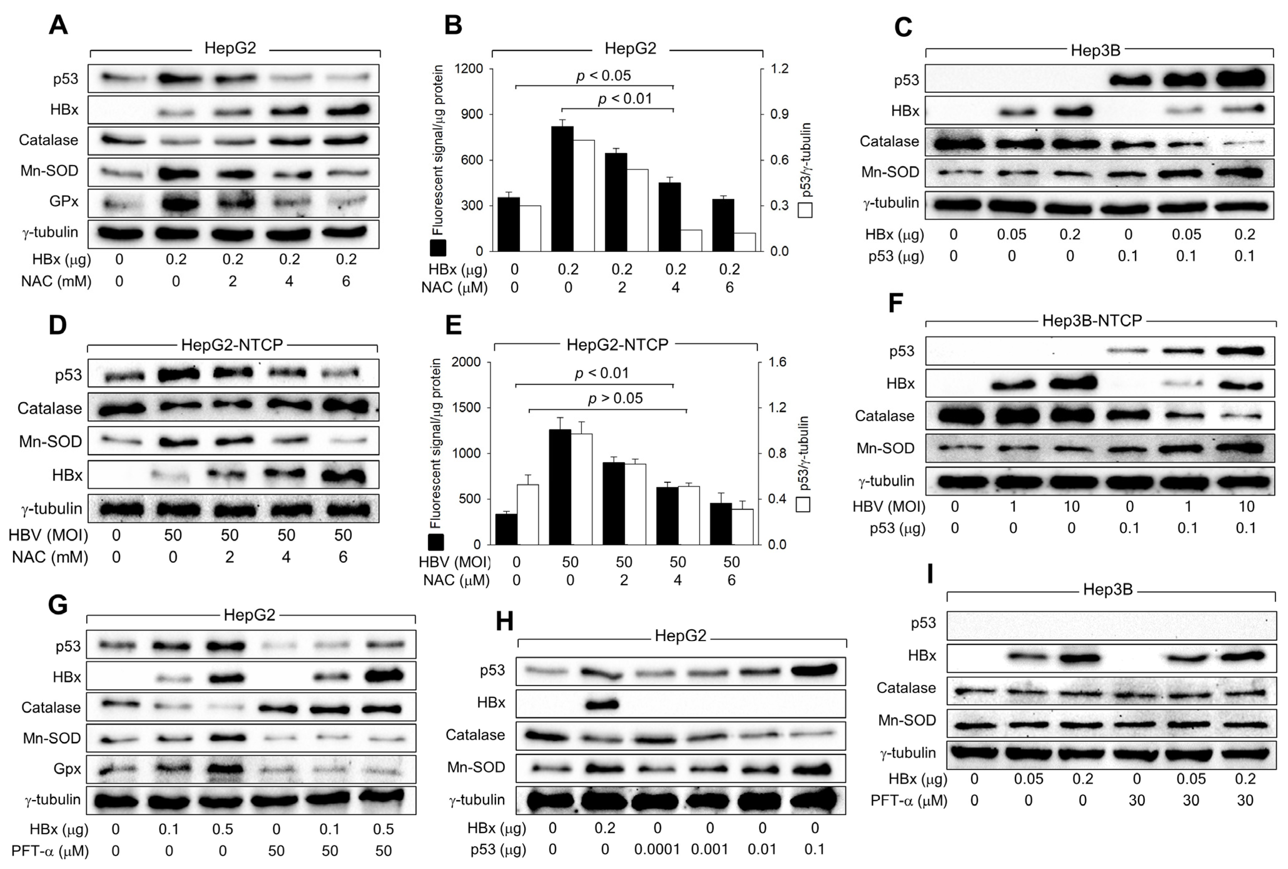 Biomolecules 14 01201 g005