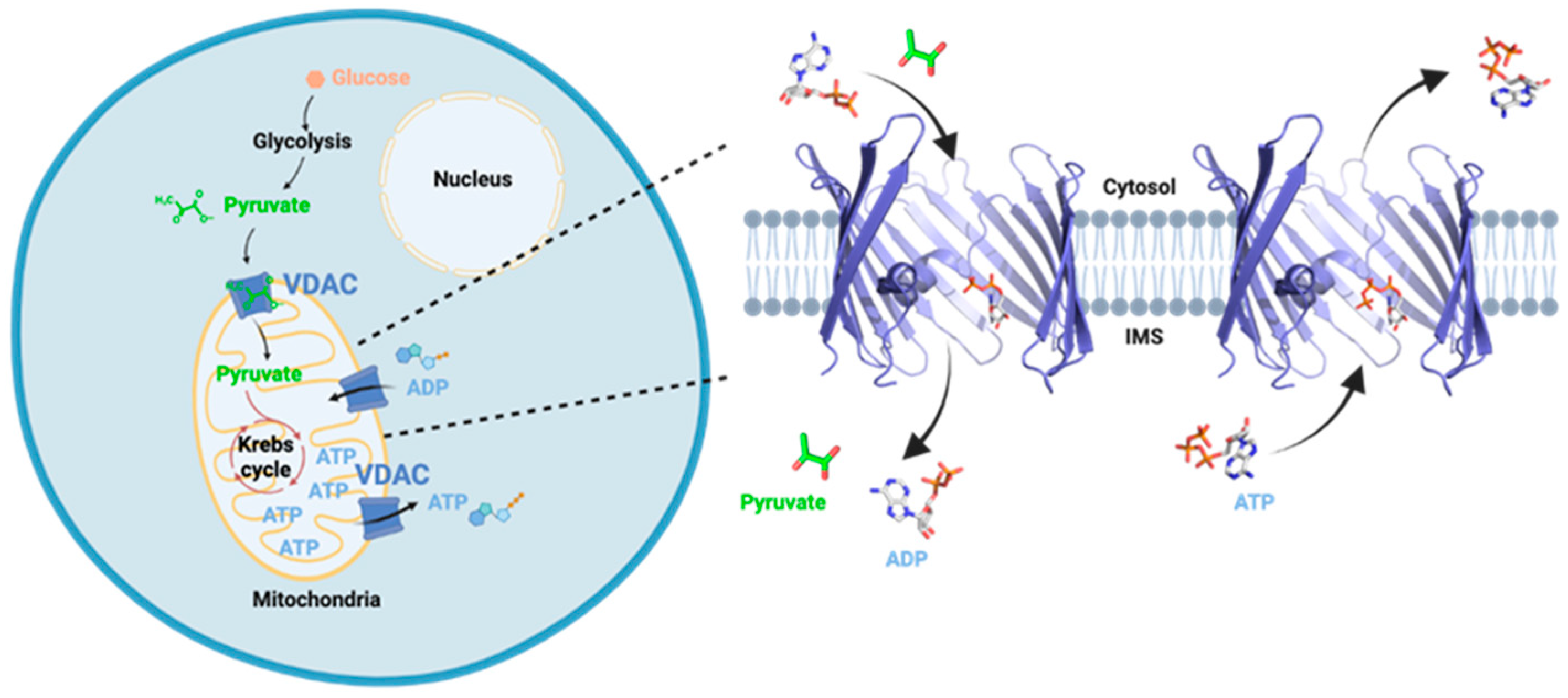 Biomolecules 14 01203 g001