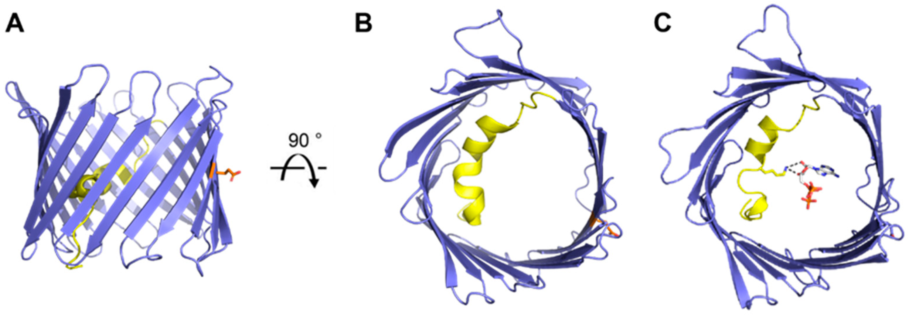 Biomolecules 14 01203 g002