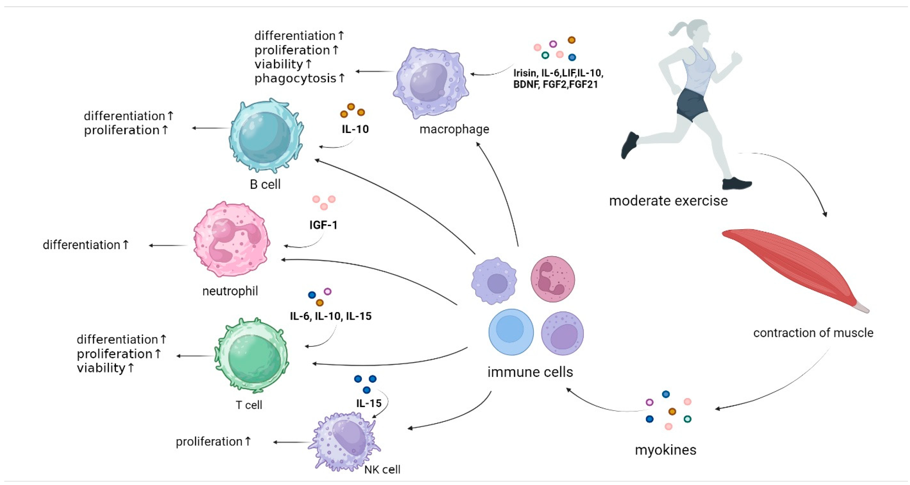 Biomolecules 14 01205 g001 Biomolecules 14 01205 g001