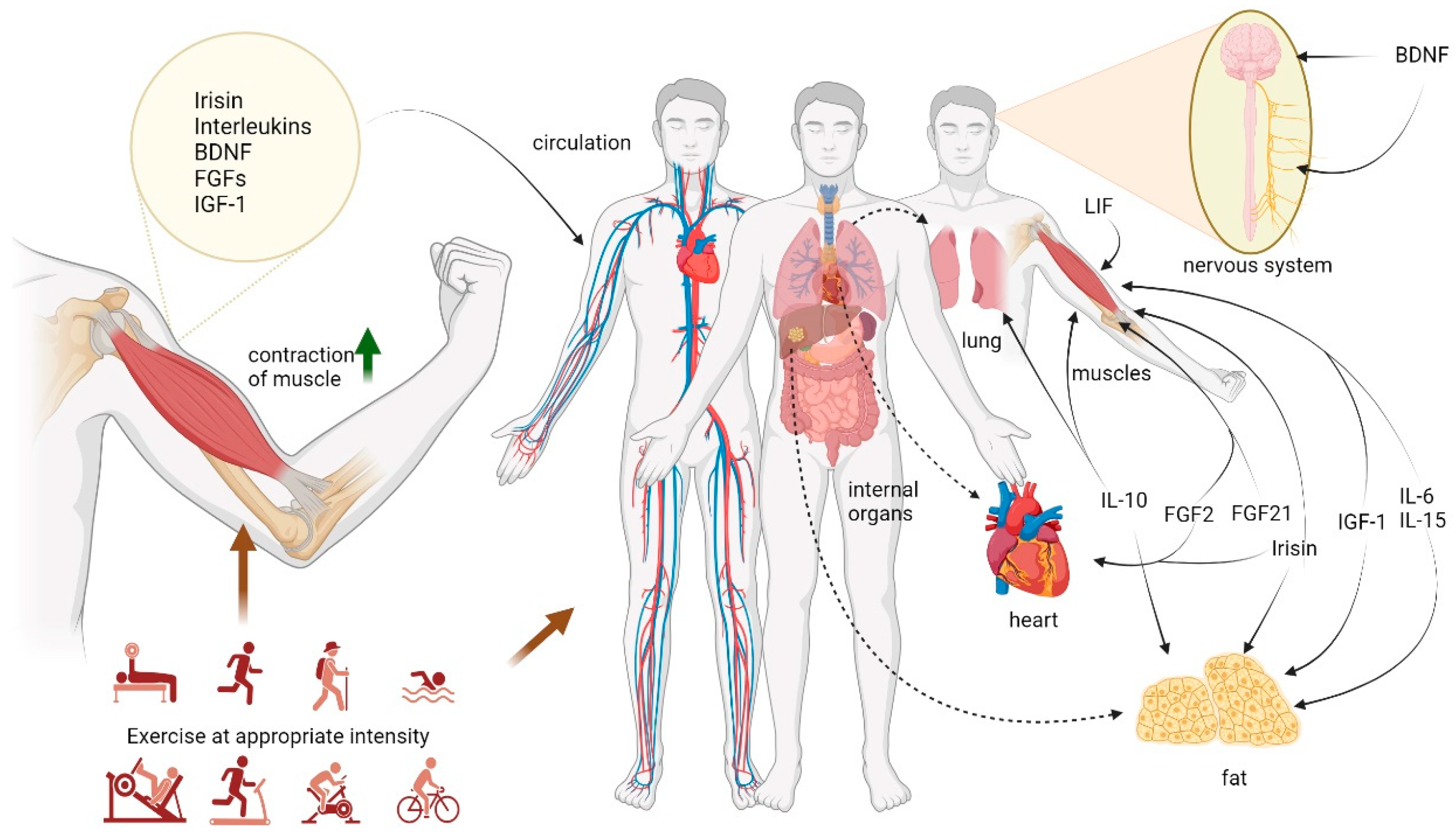 Biomolecules 14 01205 g002 Biomolecules 14 01205 g002