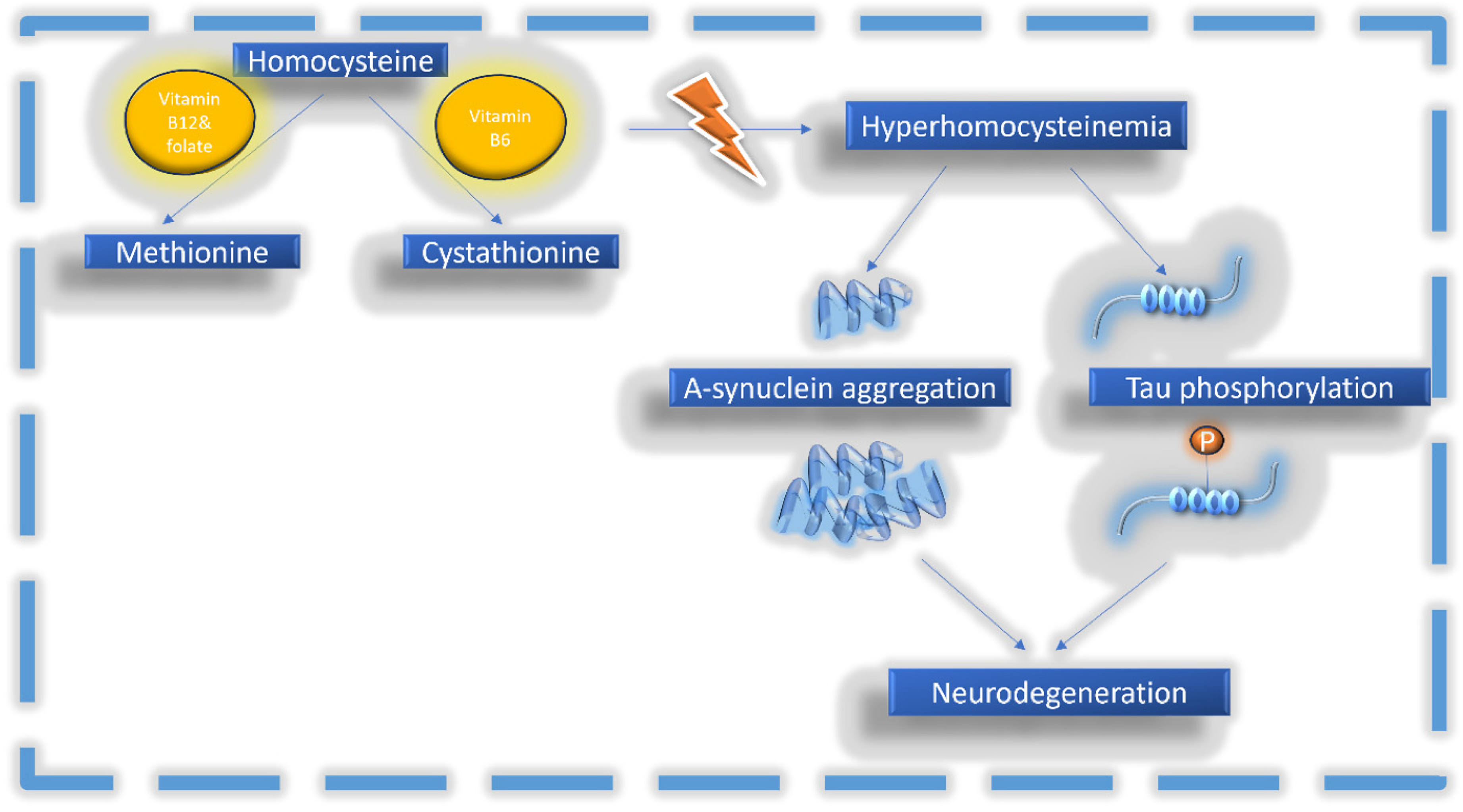Biomolecules 14 01213 g001 Biomolecules 14 01213 g001