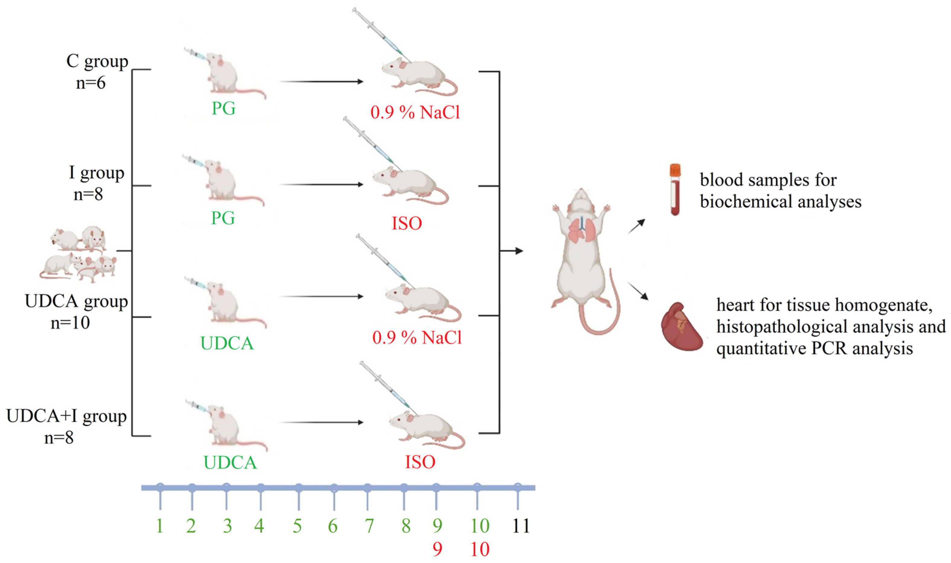 Biomolecules 14 01214 g001
